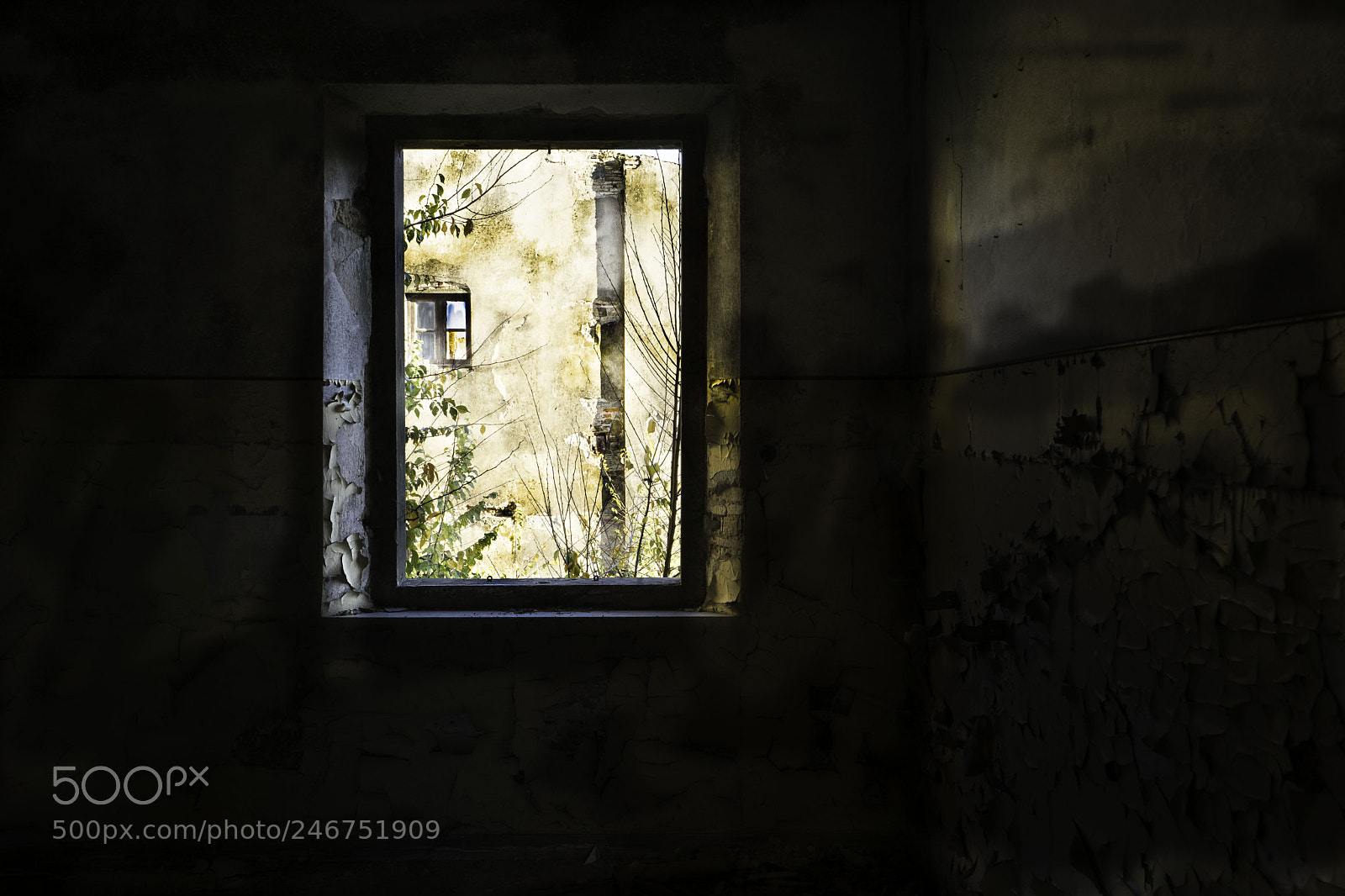 Sony a7 II sample photo. Cascine tavola photography