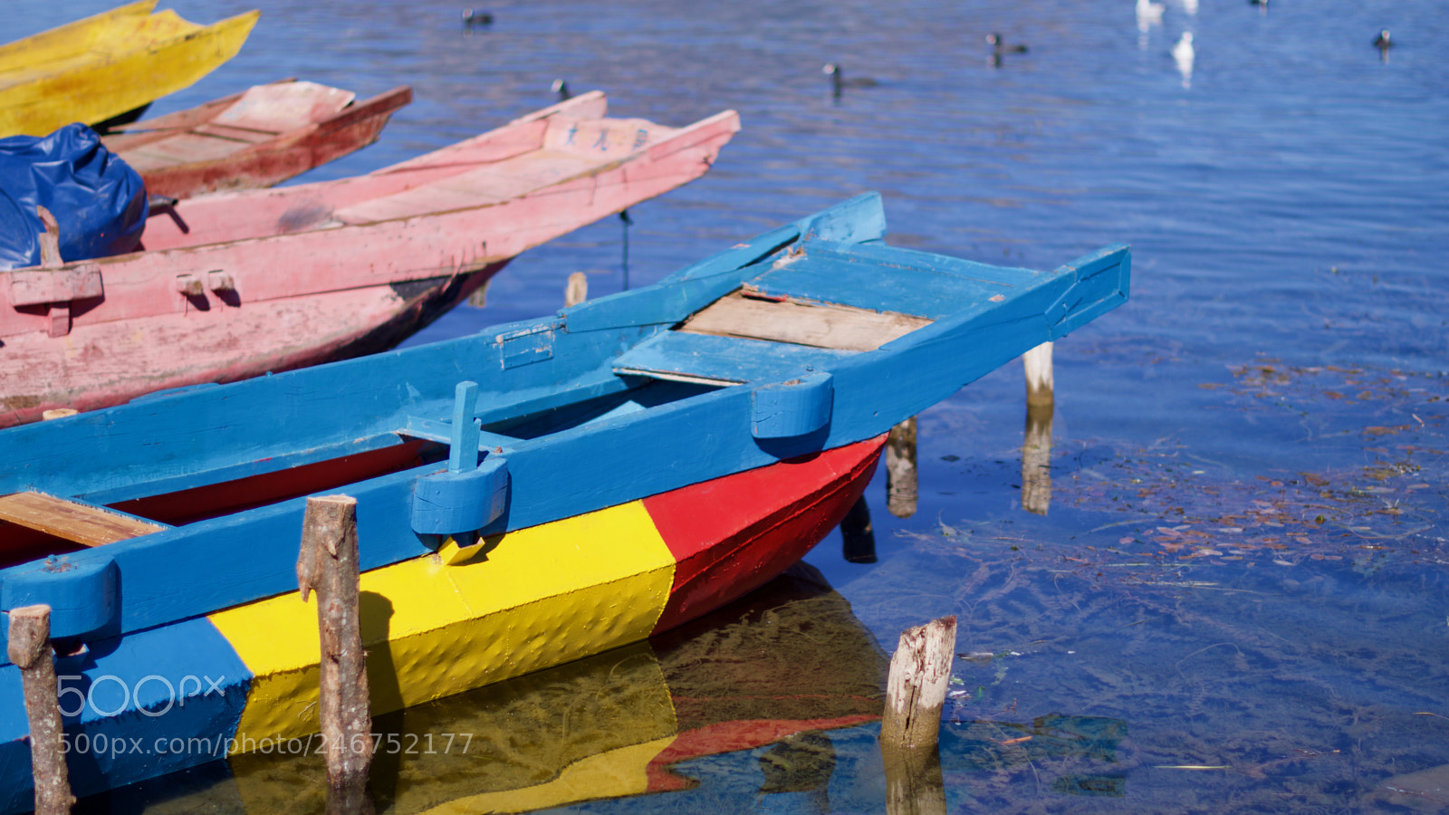 Pentax K-3 sample photo. Lugu lake photography