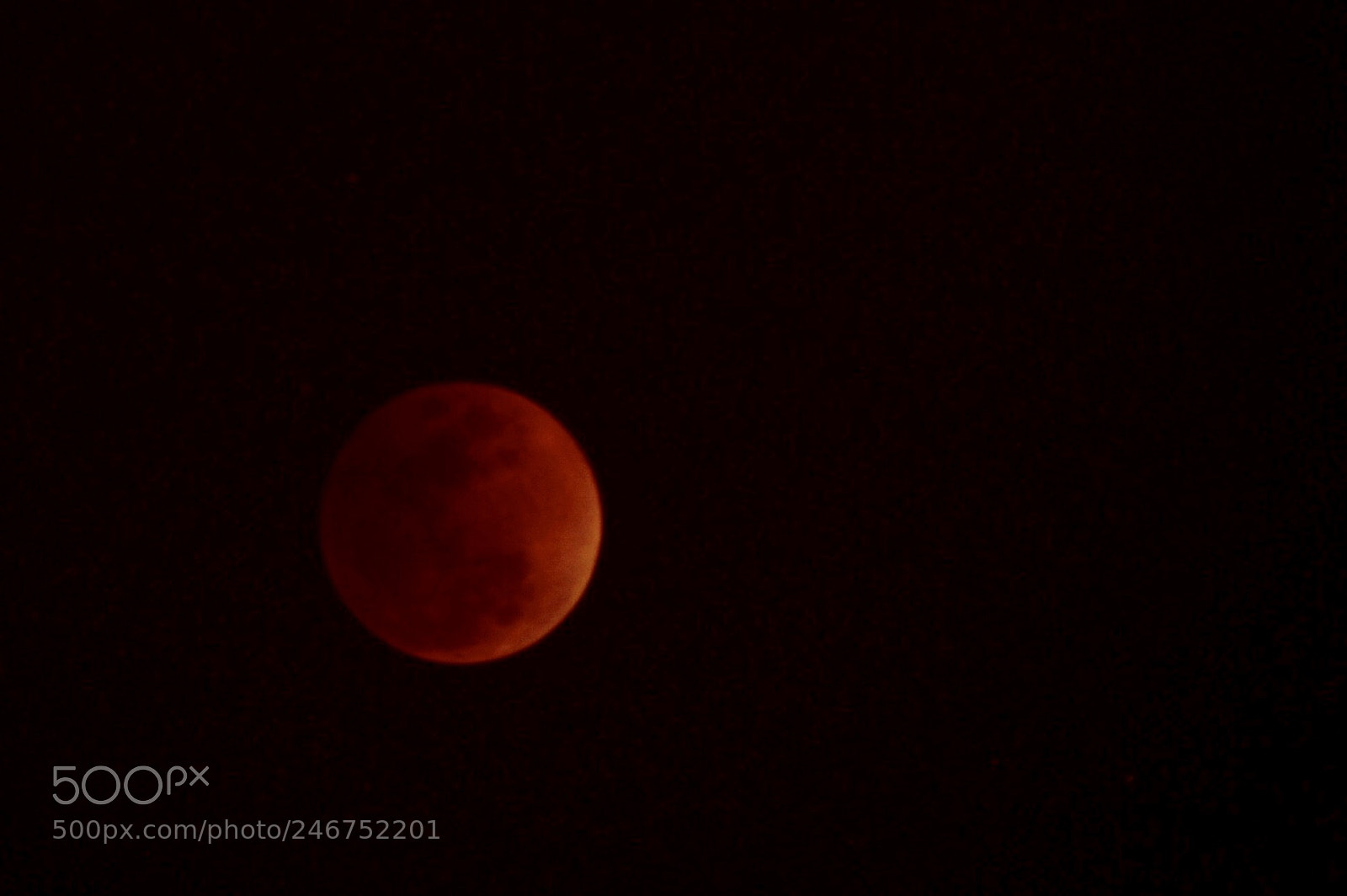 Nikon D800 sample photo. The blood moon photography