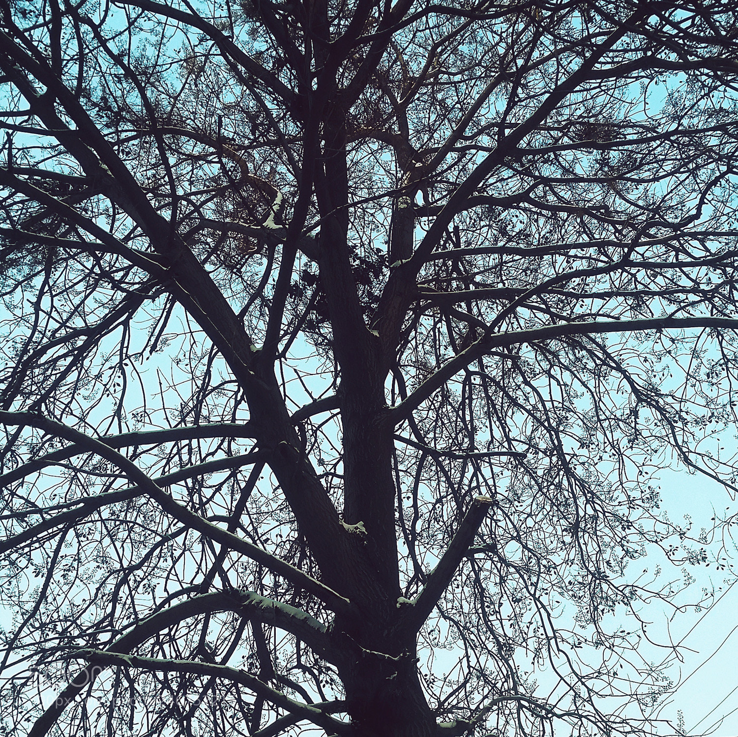 Samsung Galaxy S5 sample photo. The skies after the photography