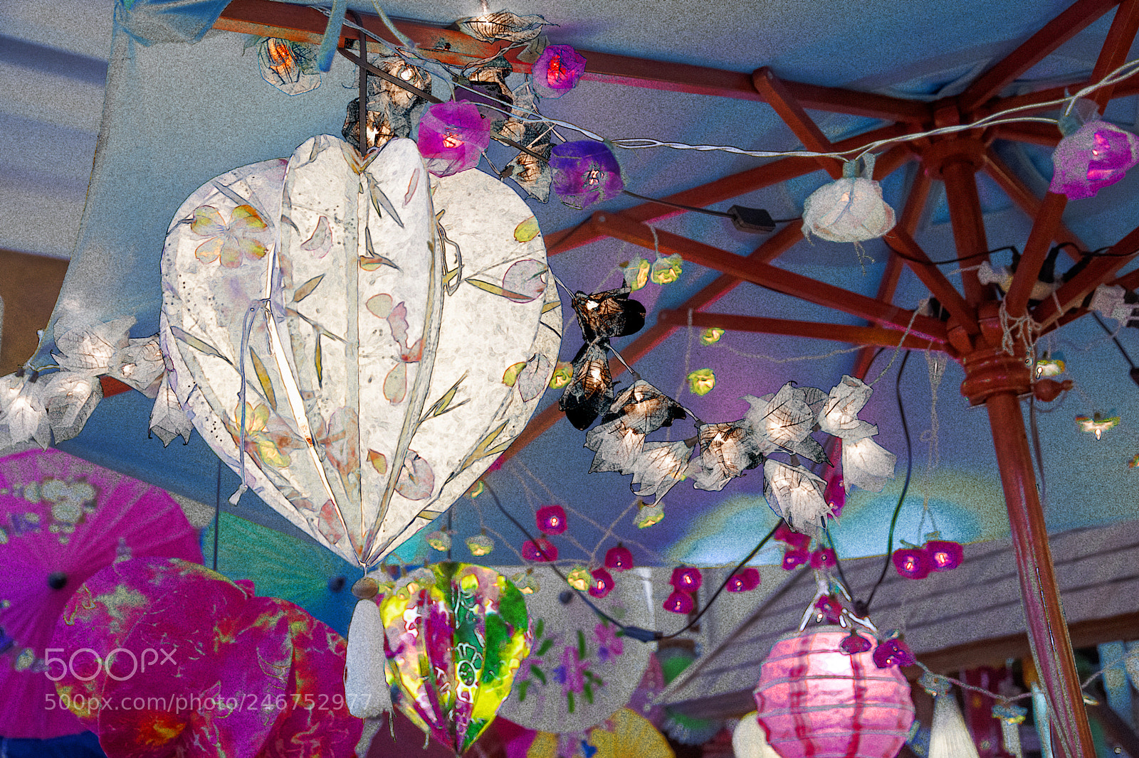 Nikon D850 sample photo. La couleur des lampios photography