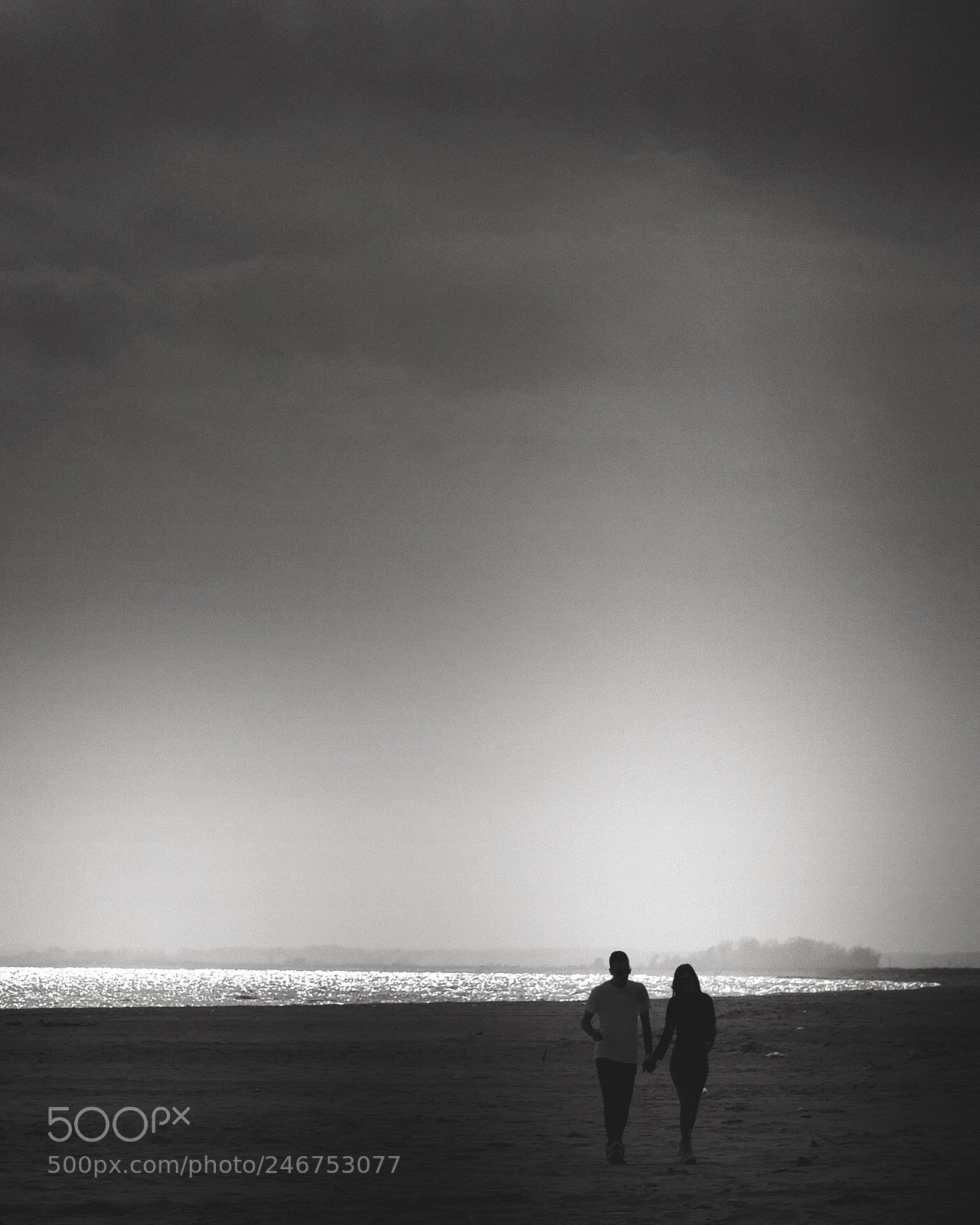 Nikon D3100 sample photo. "together".. photography