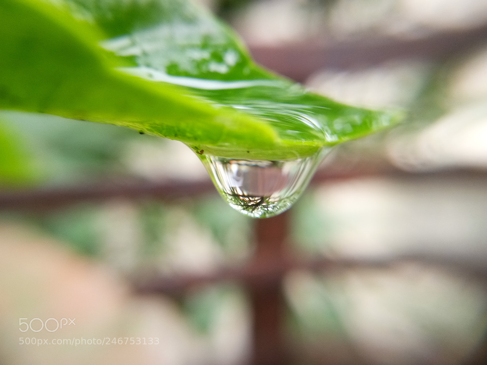 vivo 1601 sample photo. Untitled photography