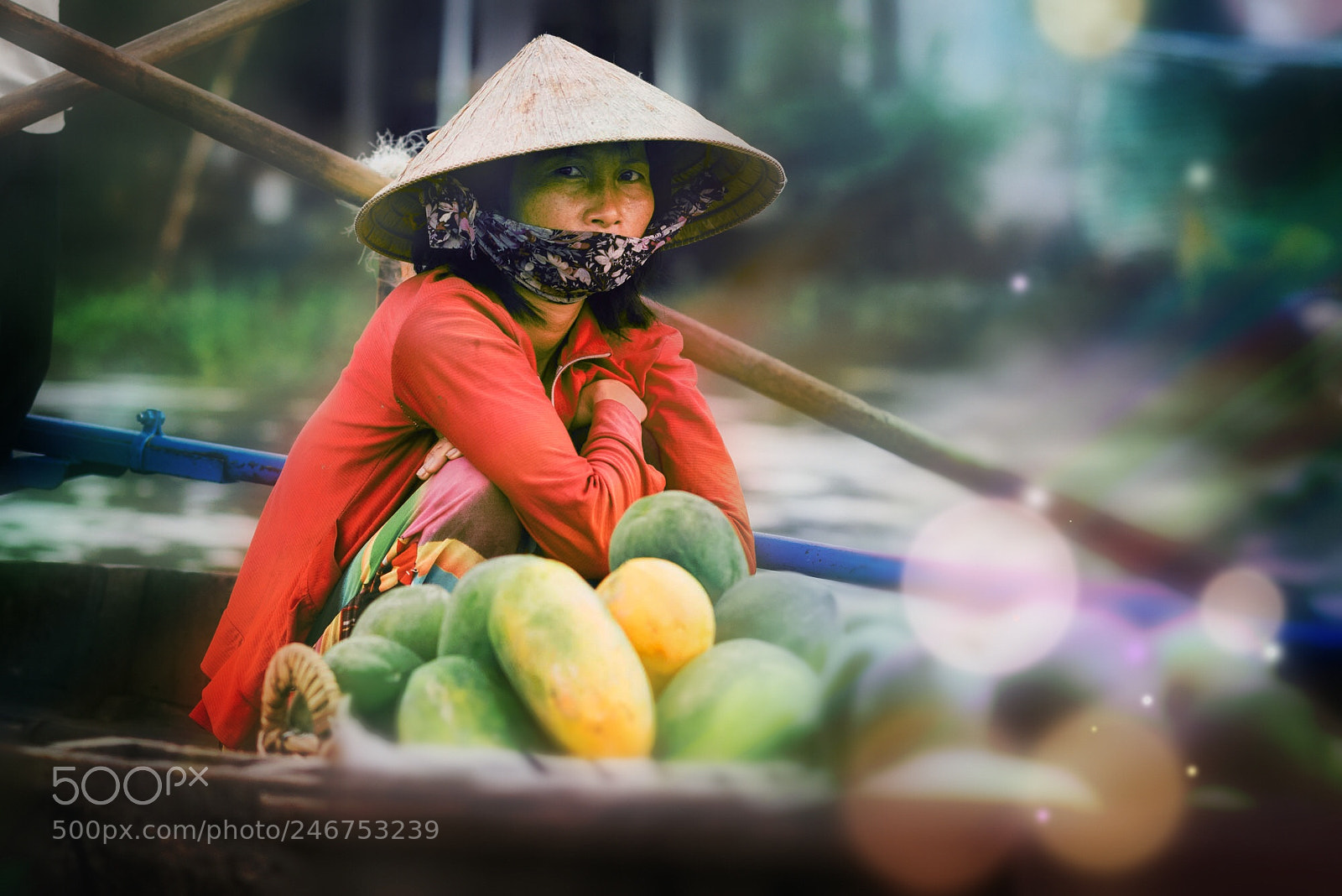Nikon D800 sample photo. Mekong merchant photography