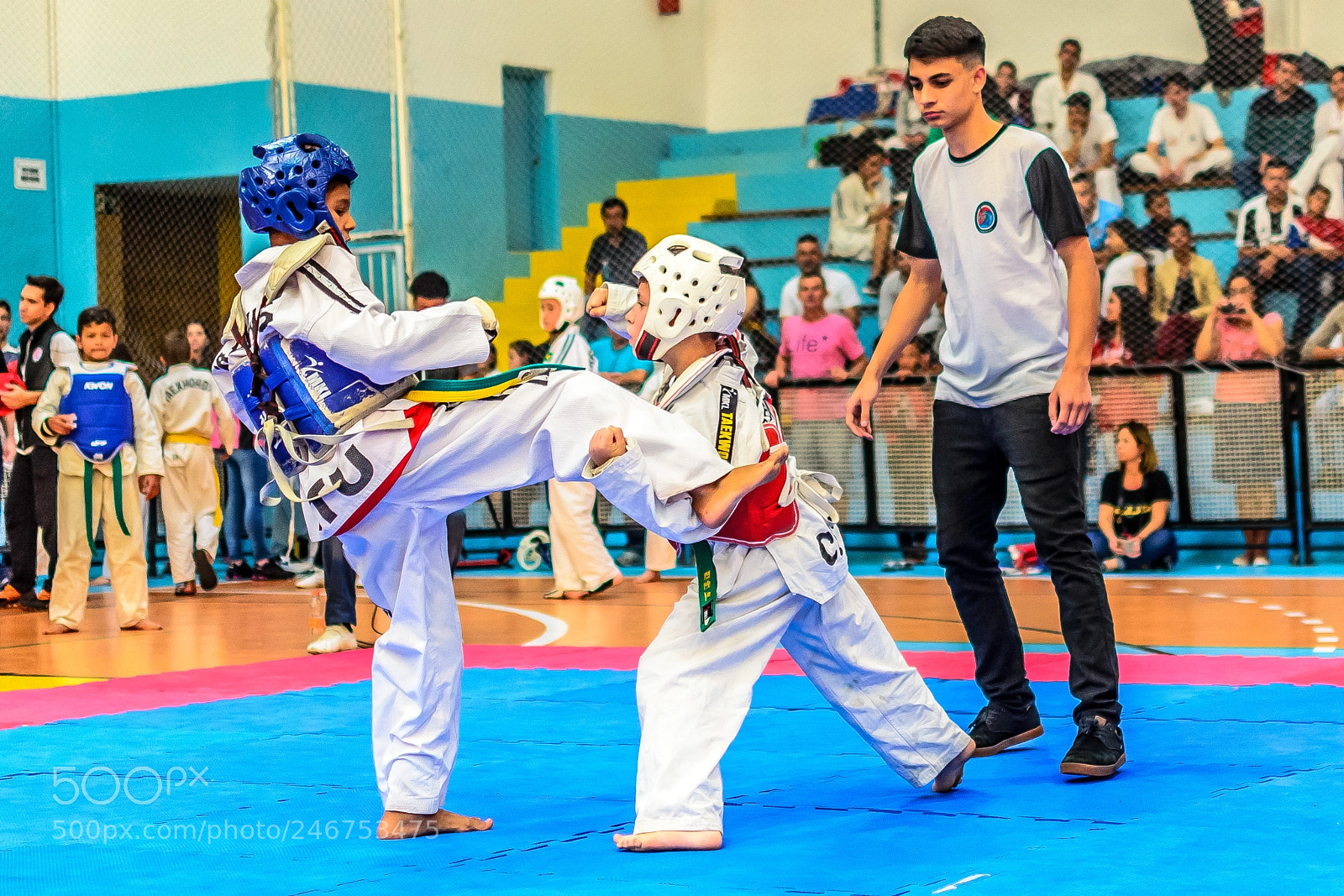 Nikon D5100 sample photo. Taekwondo - david and photography