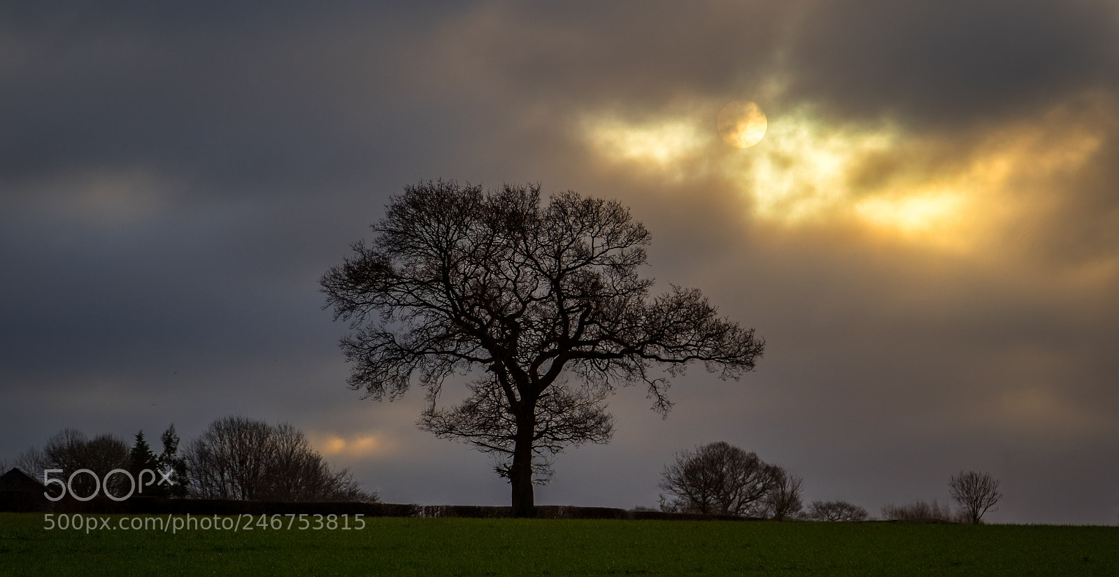 Canon EOS 7D Mark II sample photo. Sunrise photography