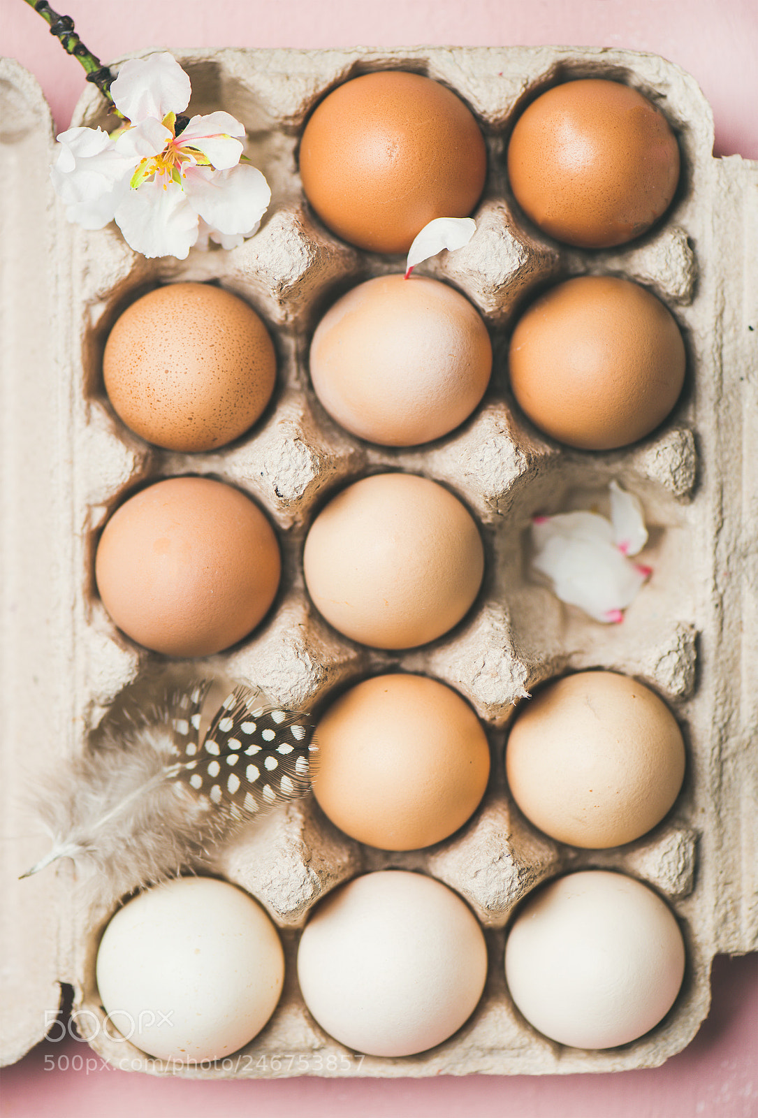 Nikon D610 sample photo. Natural colored eggs in photography