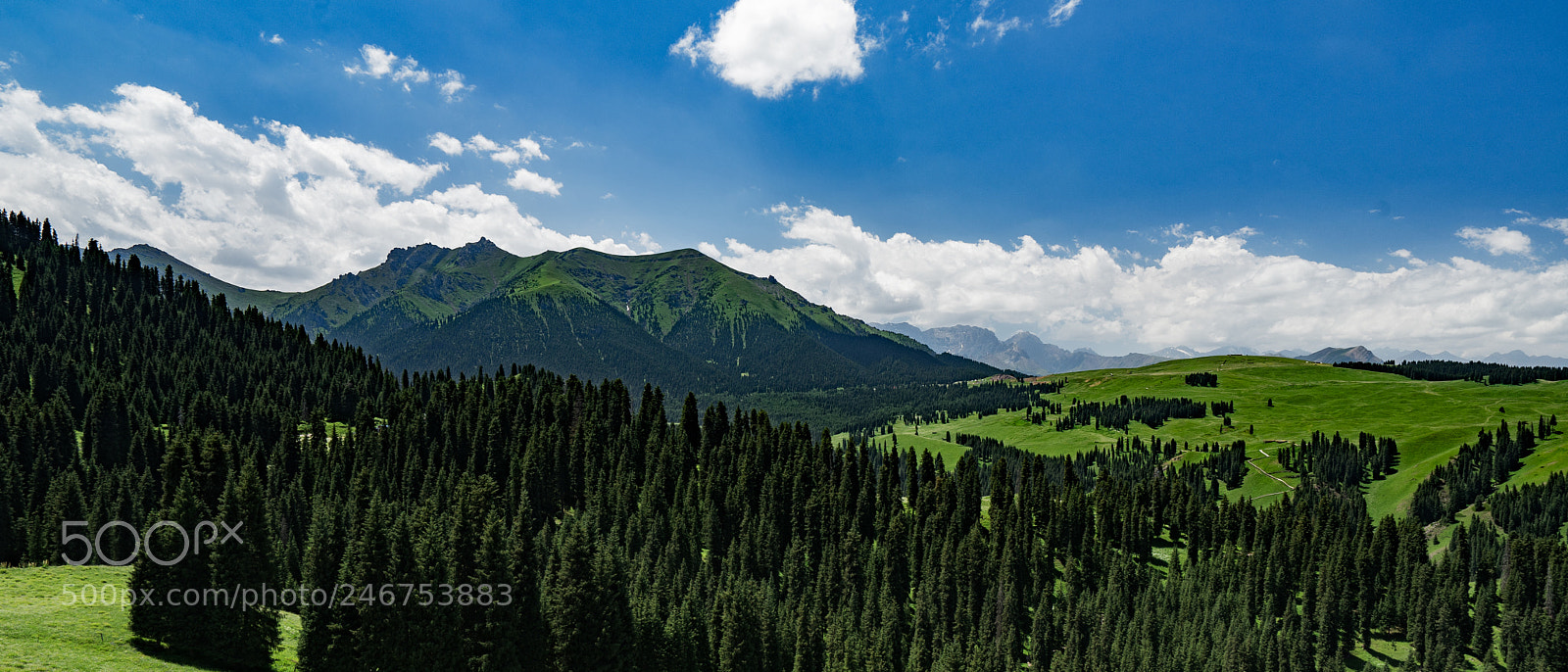 Sony a7 II sample photo. Xinjiang view 新疆江布拉克大草原 photography