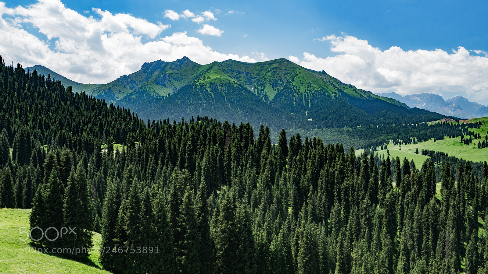 Sony a7 II sample photo. Xinjiang view 新疆江布拉克大草原 photography