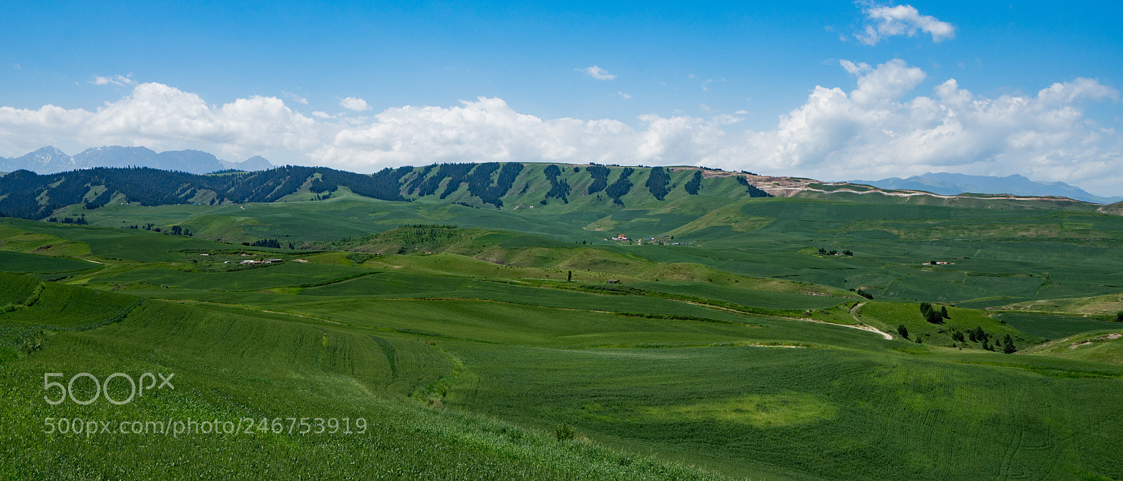 Sony a7 II sample photo. Xinjiang view 新疆江布拉克大草原 photography