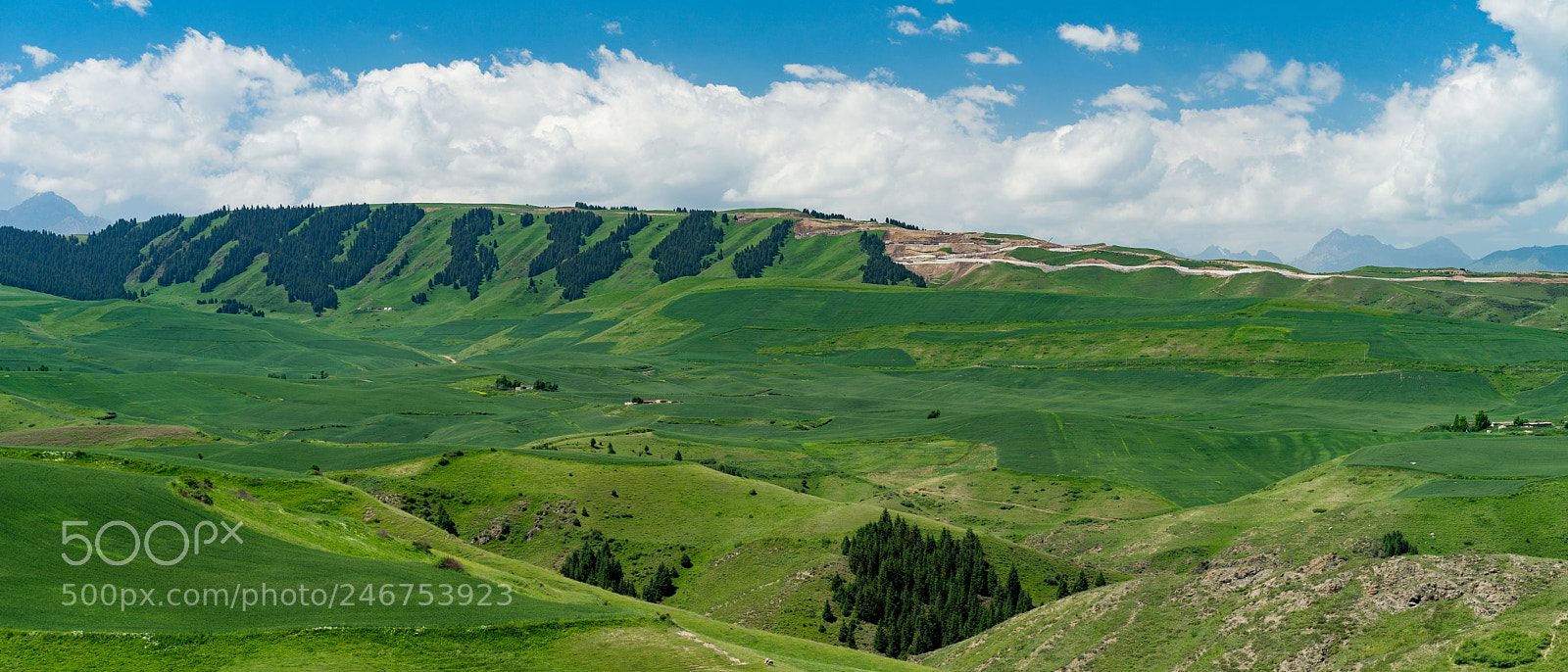 Sony a7 II sample photo. Xinjiang view 新疆江布拉克大草原 photography