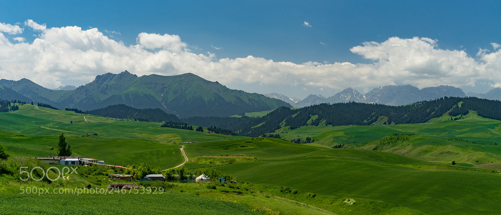 Sony a7 II sample photo. Xinjiang view 新疆江布拉克大草原 photography