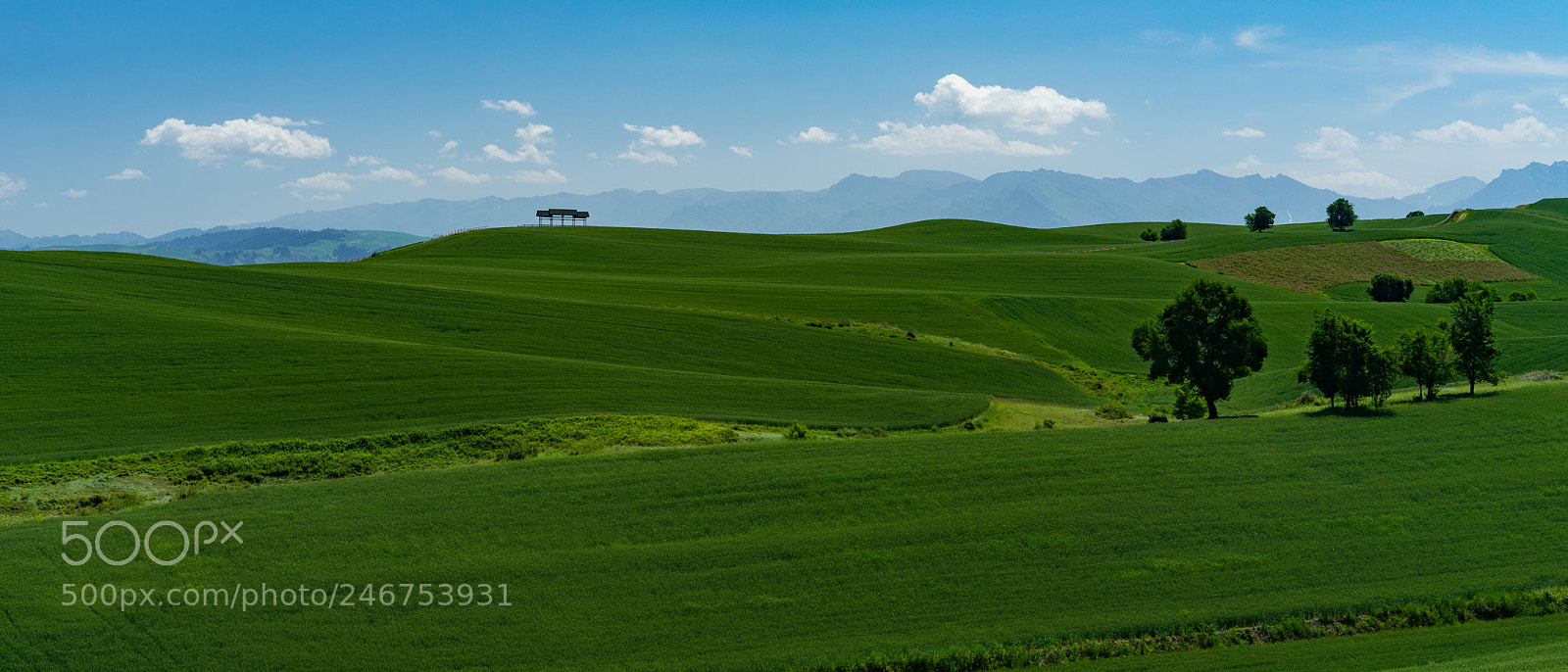 Sony a7 II sample photo. Xinjiang view 新疆江布拉克大草原 photography