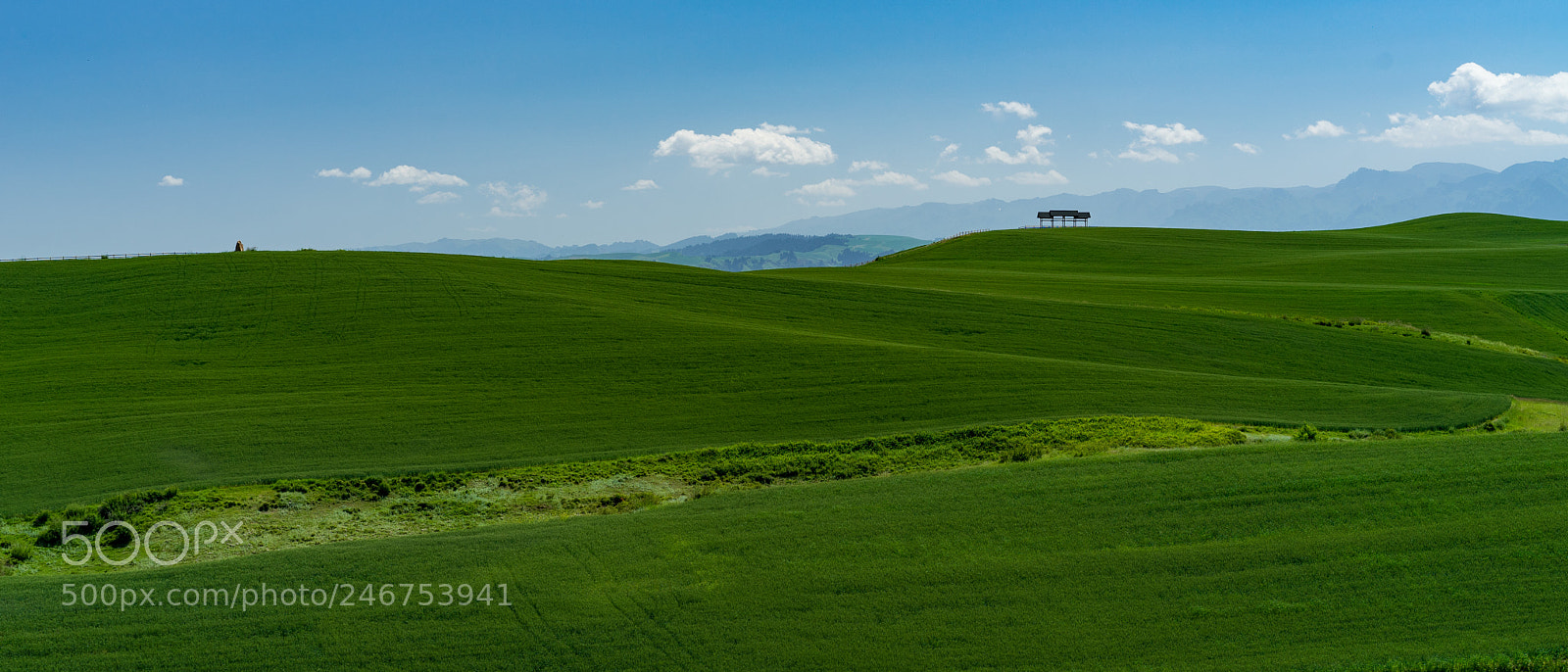 Sony a7 II sample photo. Xinjiang view 新疆江布拉克大草原 photography