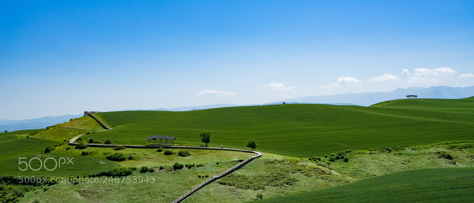 Sony a7 II sample photo. Xinjiang view 新疆江布拉克大草原 photography