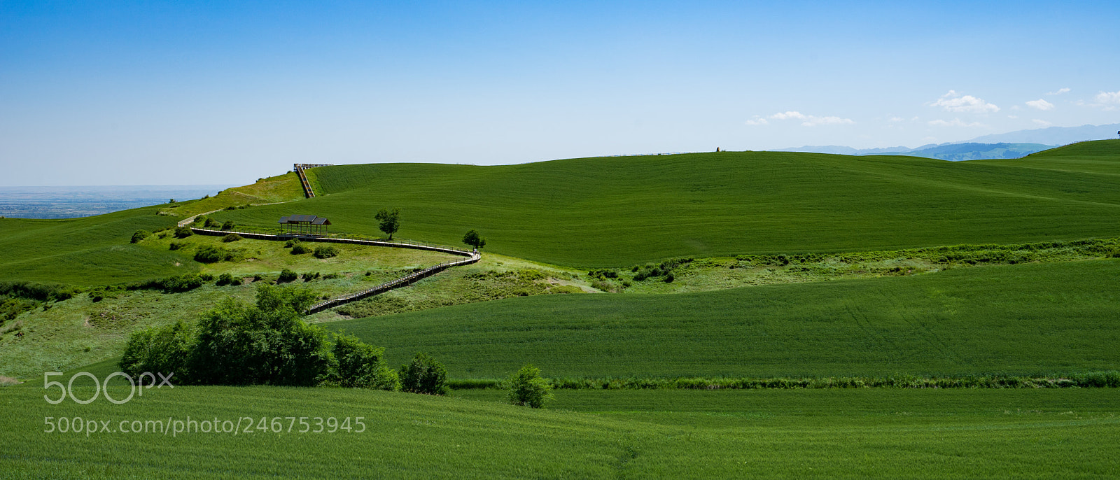 Sony a7 II sample photo. Xinjiang view 新疆江布拉克大草原 photography