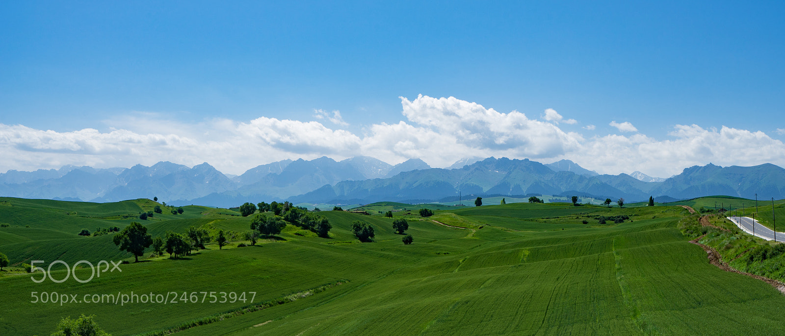 Sony a7 II sample photo. Xinjiang view 新疆江布拉克大草原 photography