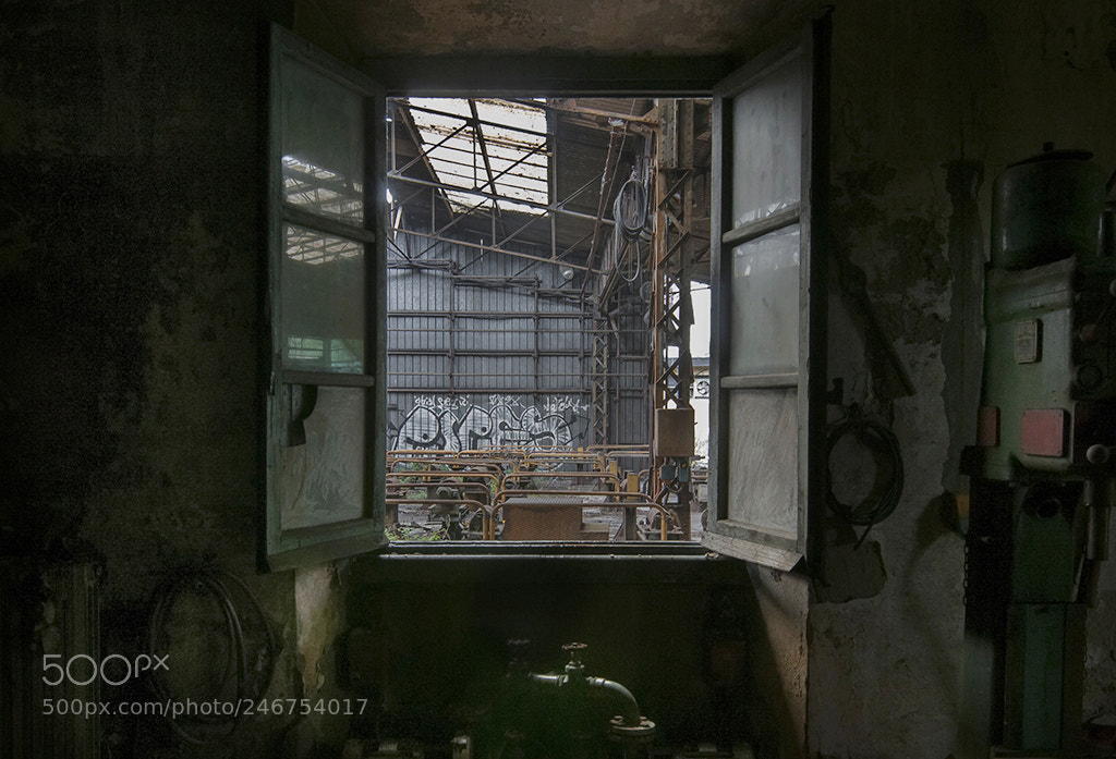 Nikon D300S sample photo. Rivoluzione industriale photography