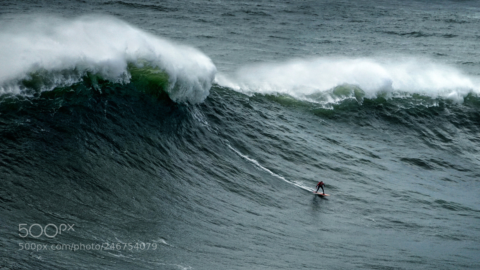 Sony a7 II sample photo. Antman surfs again photography