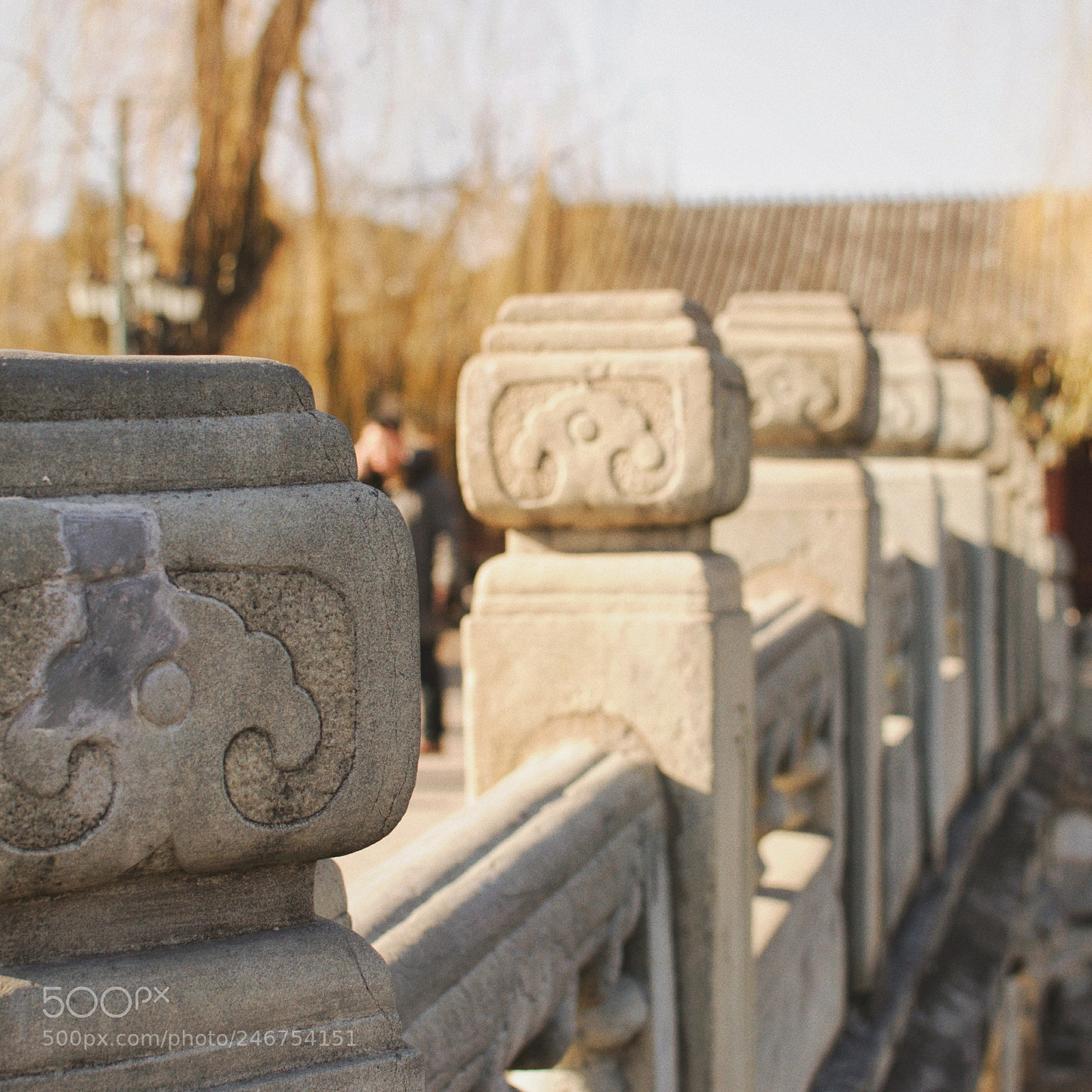 Nikon D90 sample photo. Untitled photography