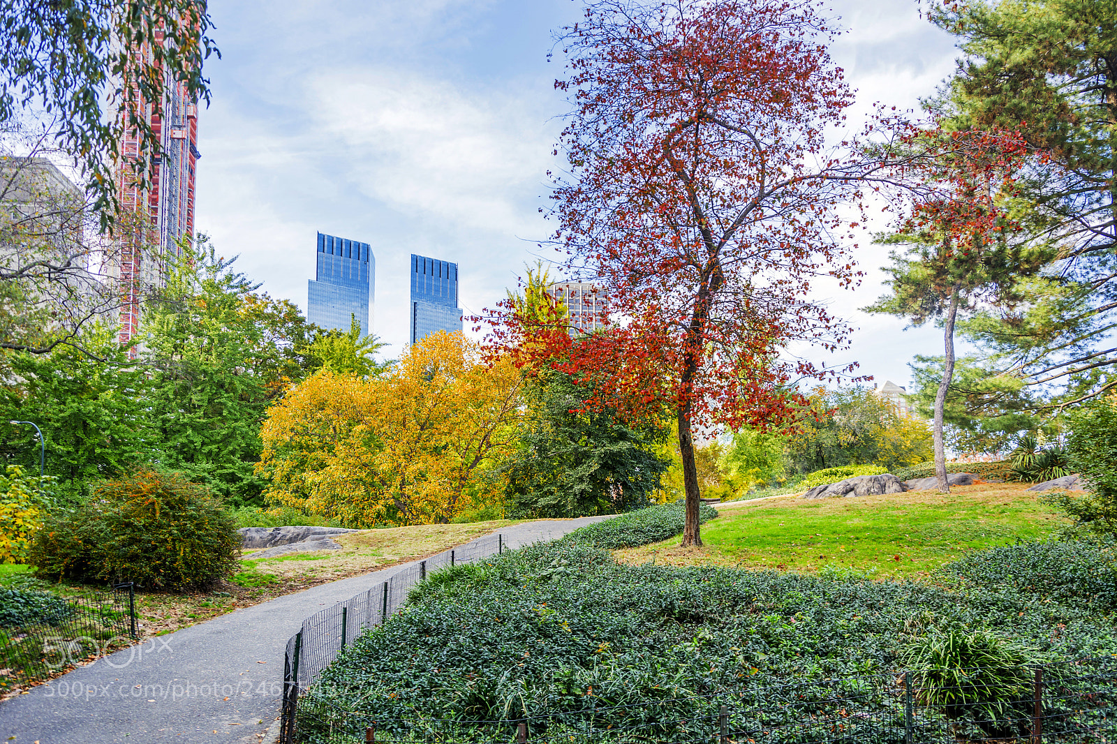 Nikon D7100 sample photo. View of central park photography