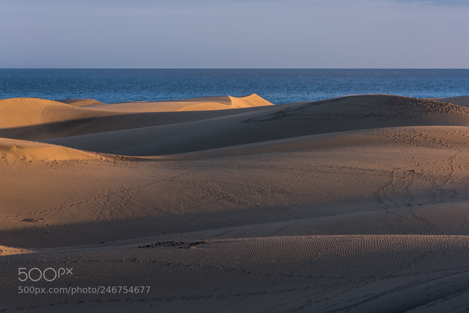 Nikon D810 sample photo. Gran canaria photography