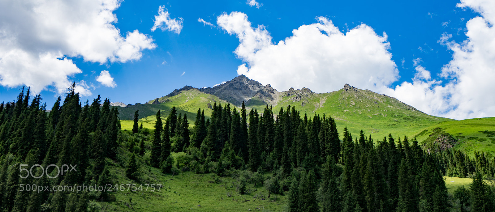 Sony a7 II sample photo. Mount tianshan 天山山脉 photography
