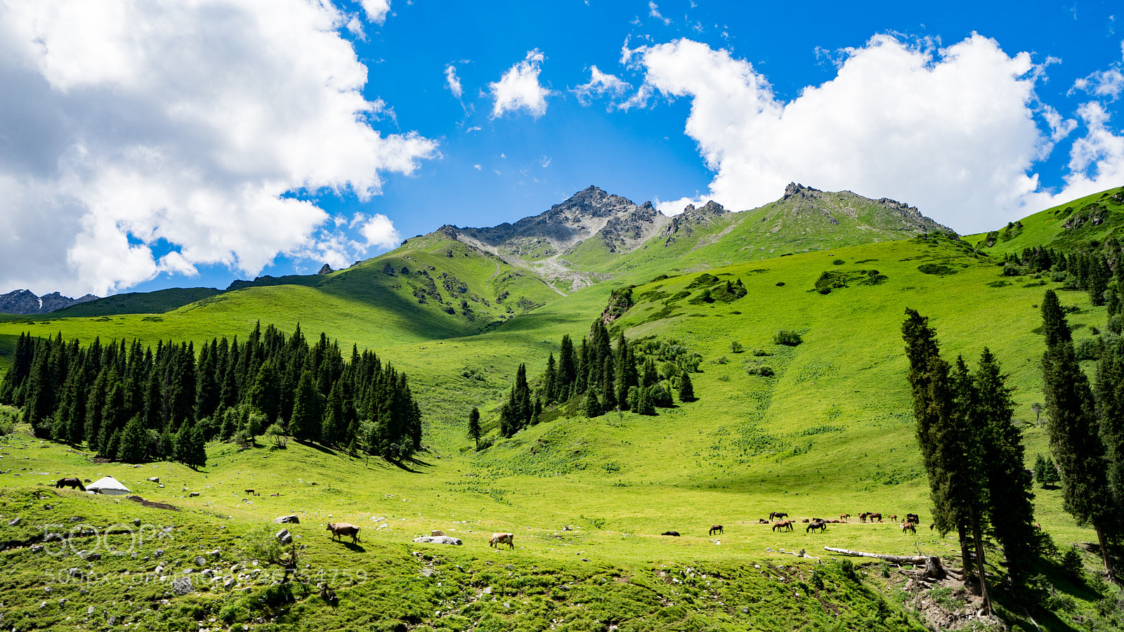 Sony a7 II sample photo. Mount tianshan 天山山脉 photography