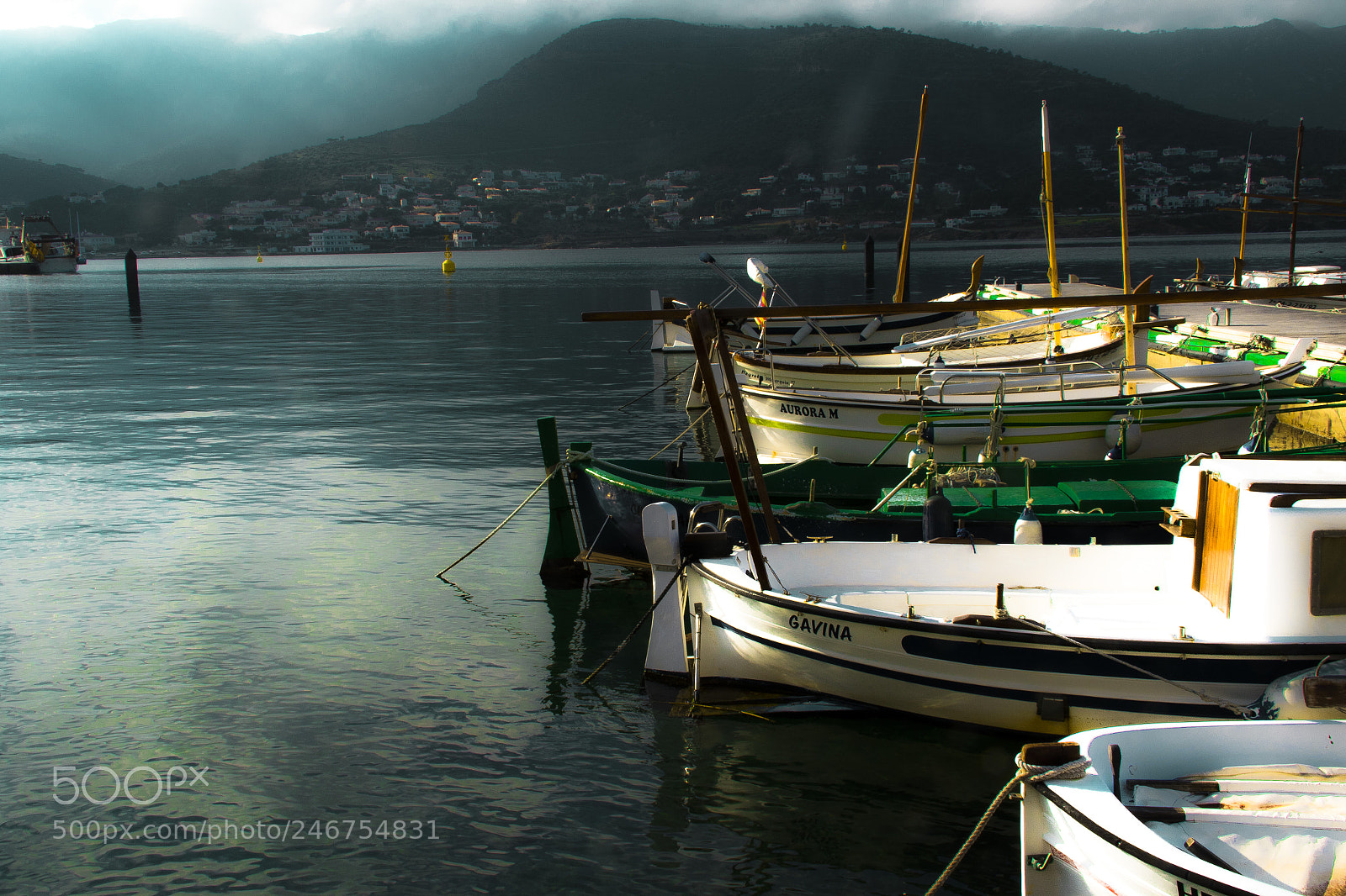 Canon EOS 7D Mark II sample photo. At the morning photography