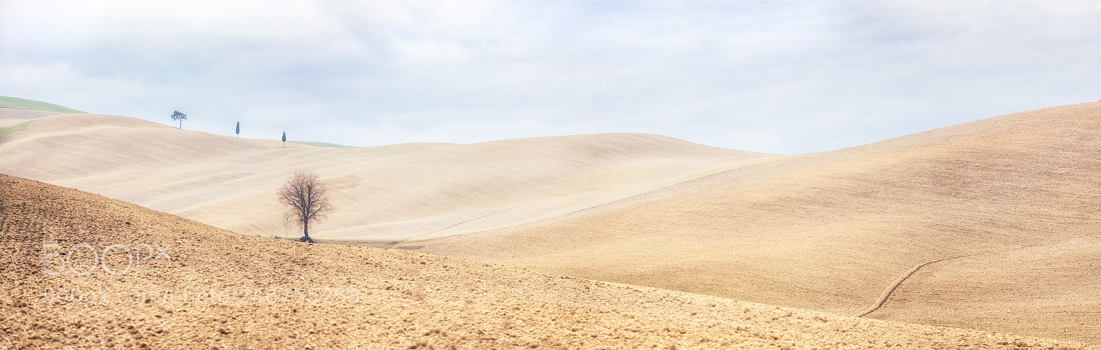 Nikon D850 sample photo. Waves of toscana photography