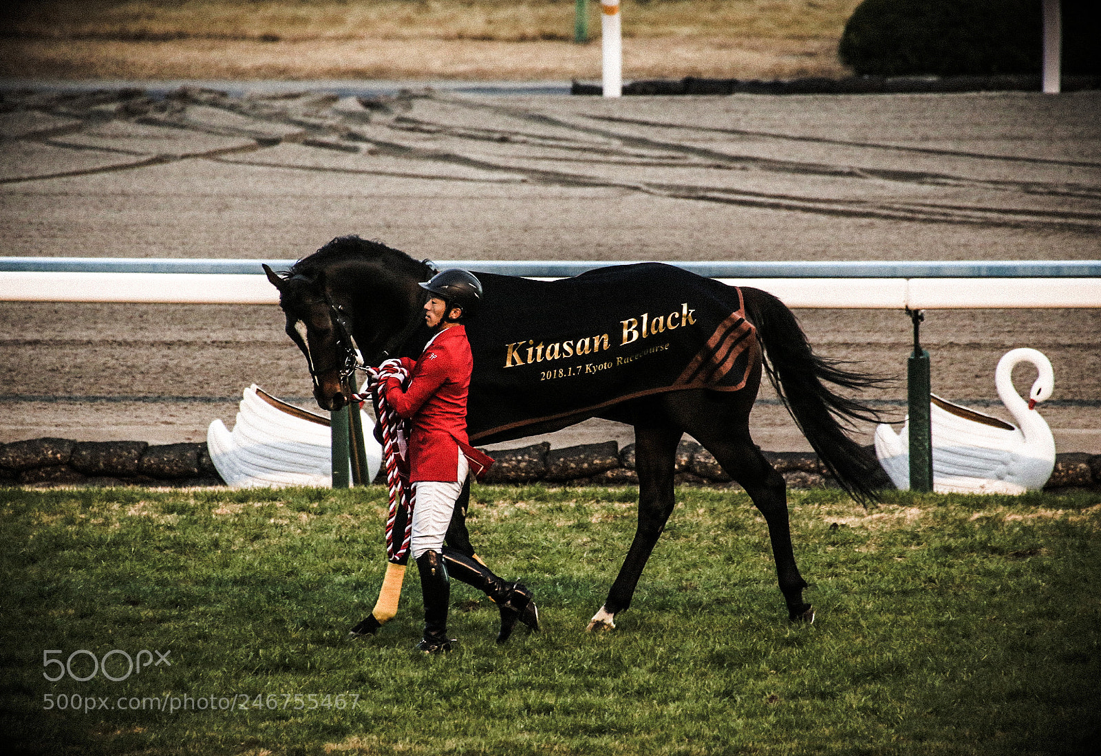 Canon EOS-1D X sample photo. 引退式 photography