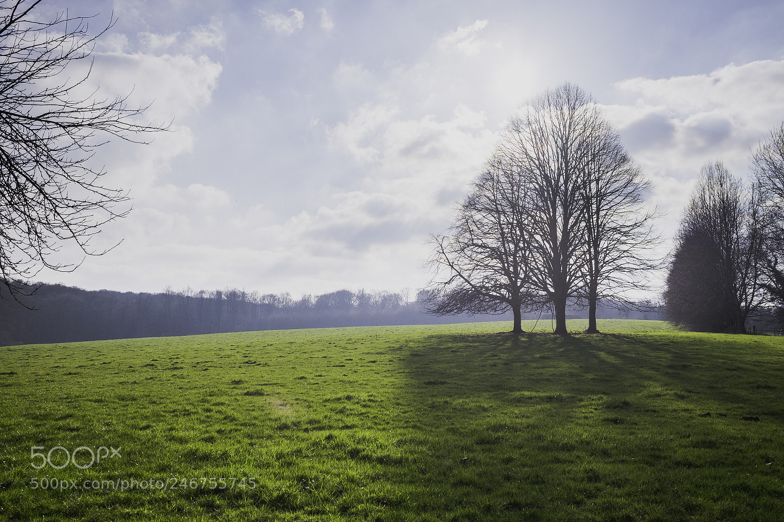 Fujifilm X-T1 sample photo. Spring photography