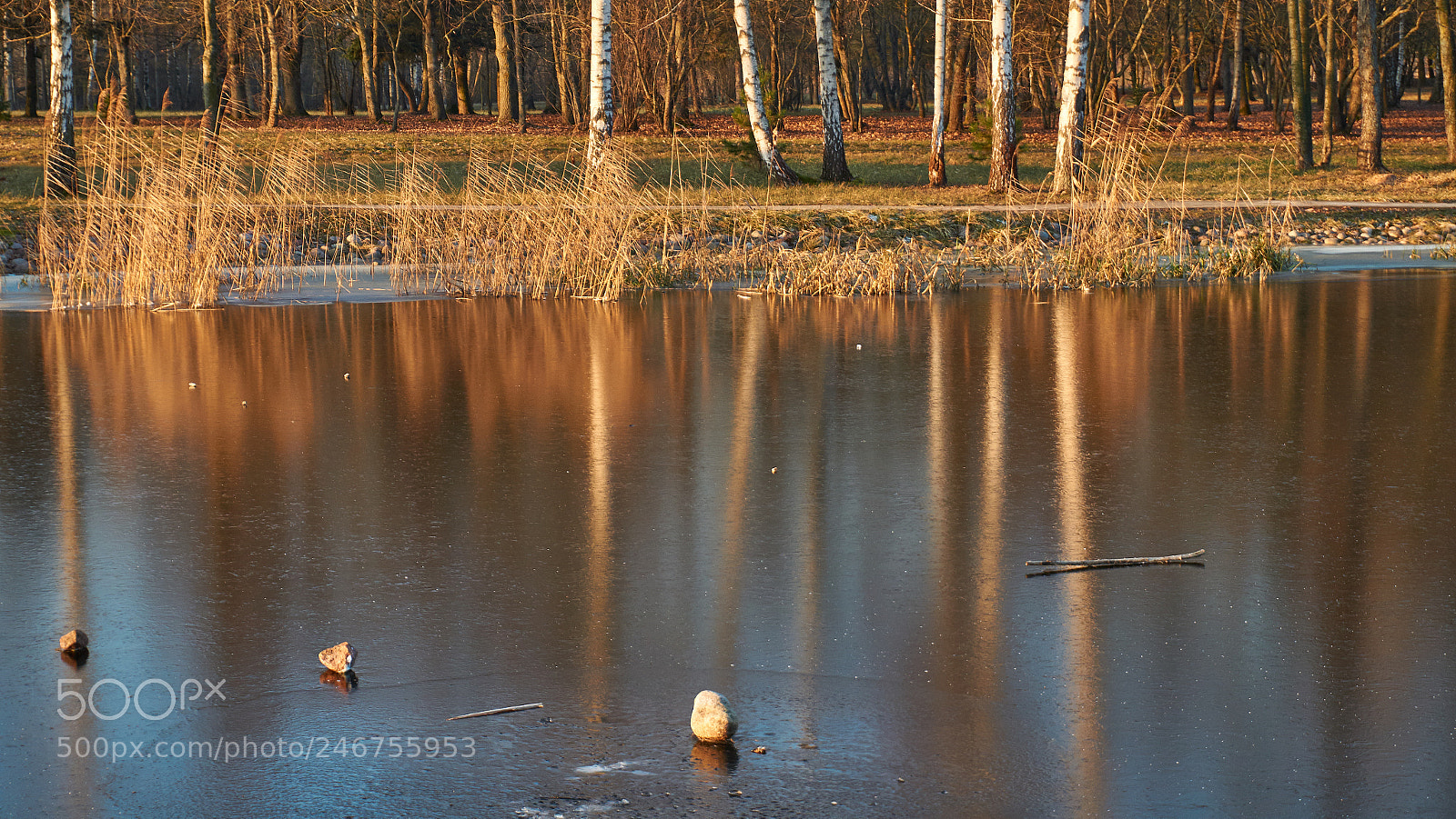 Sony Alpha a5000 (ILCE 5000) sample photo. Winter morning sun rise photography