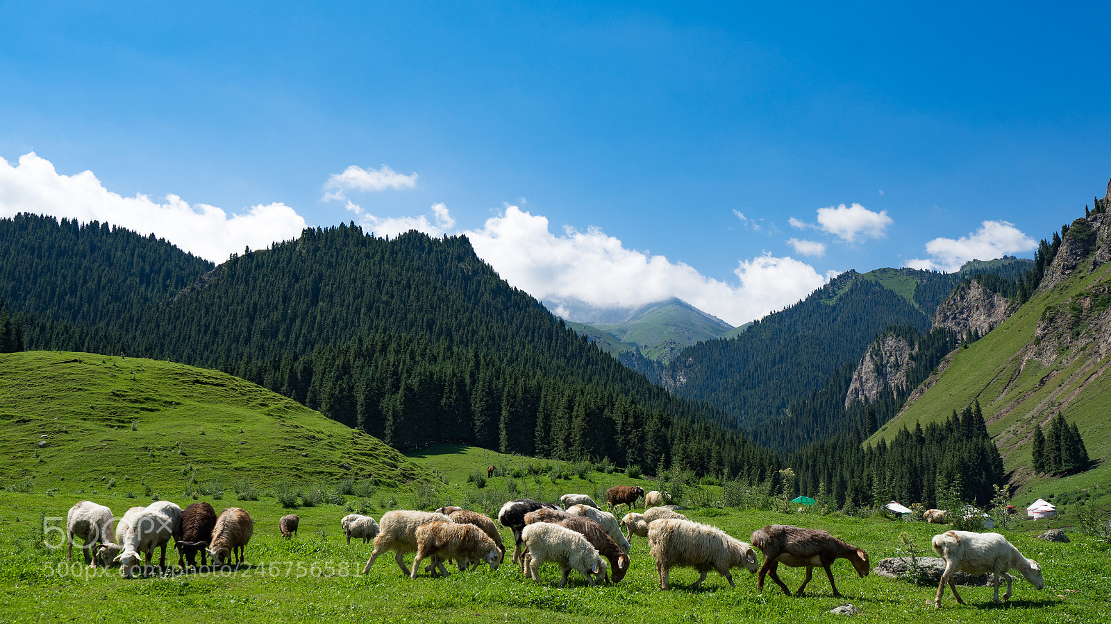 Sony a7 II sample photo. Dongdatang scenic spot 新疆东大塘景区 photography