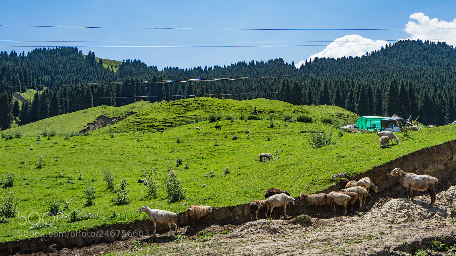 Sony a7 II sample photo. Dongdatang scenic spot 新疆东大塘景区 photography