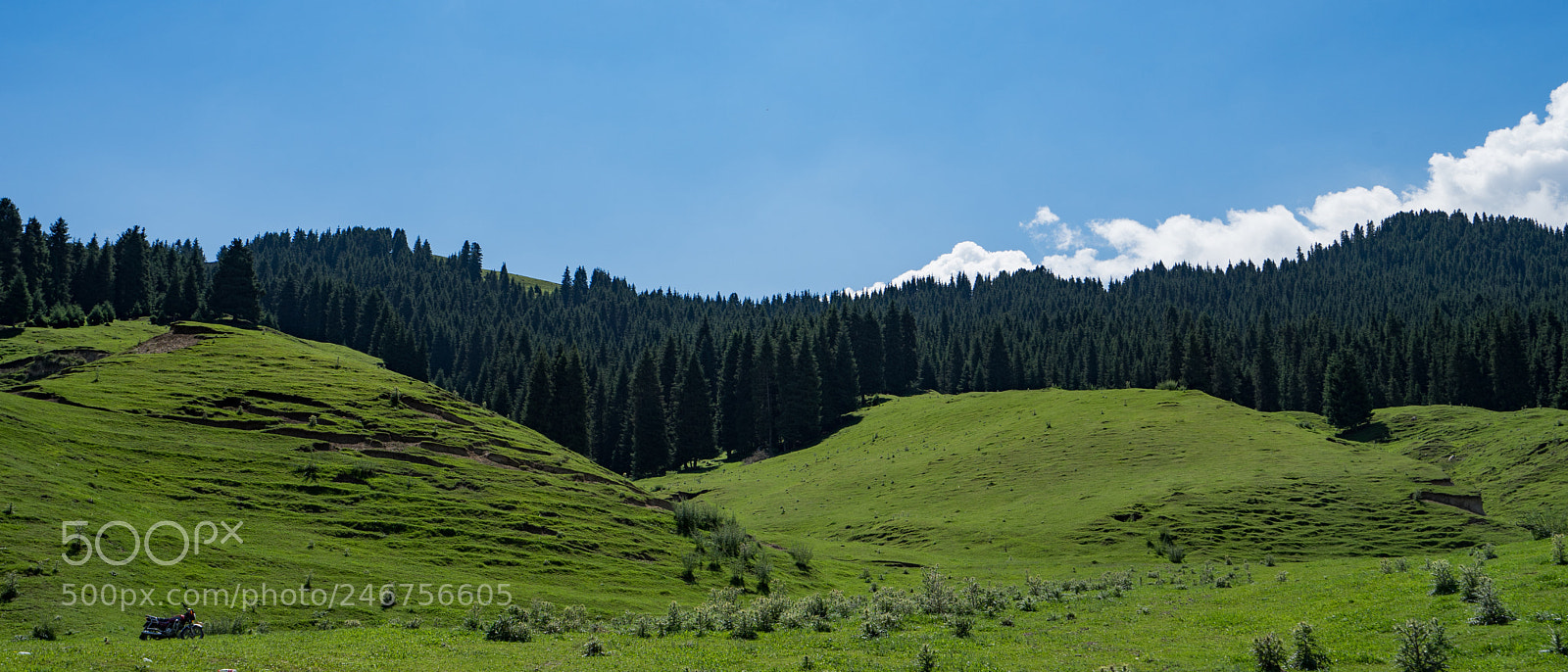 Sony a7 II sample photo. Dongdatang scenic spot 新疆东大塘景区 photography