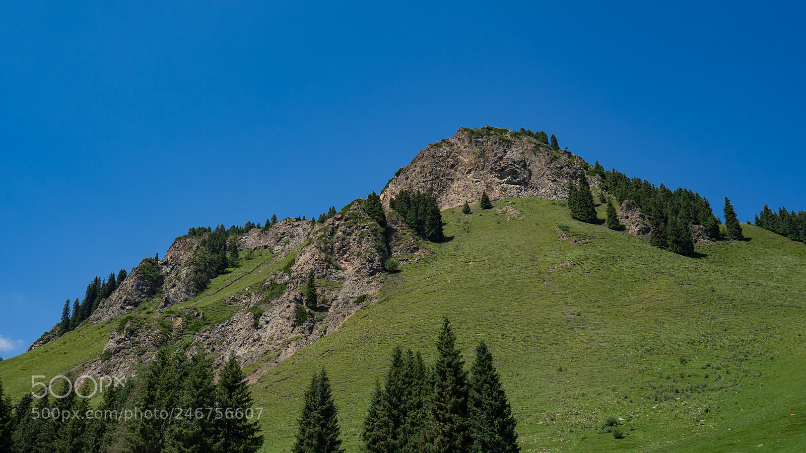 Sony a7 II sample photo. Dongdatang scenic spot 新疆东大塘景区 photography