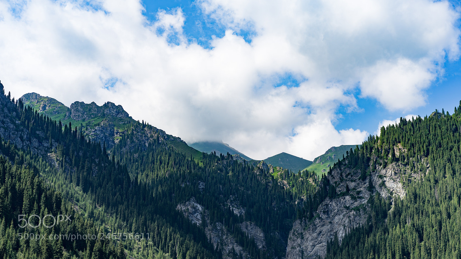 Sony a7 II sample photo. Dongdatang scenic spot 新疆东大塘景区 photography