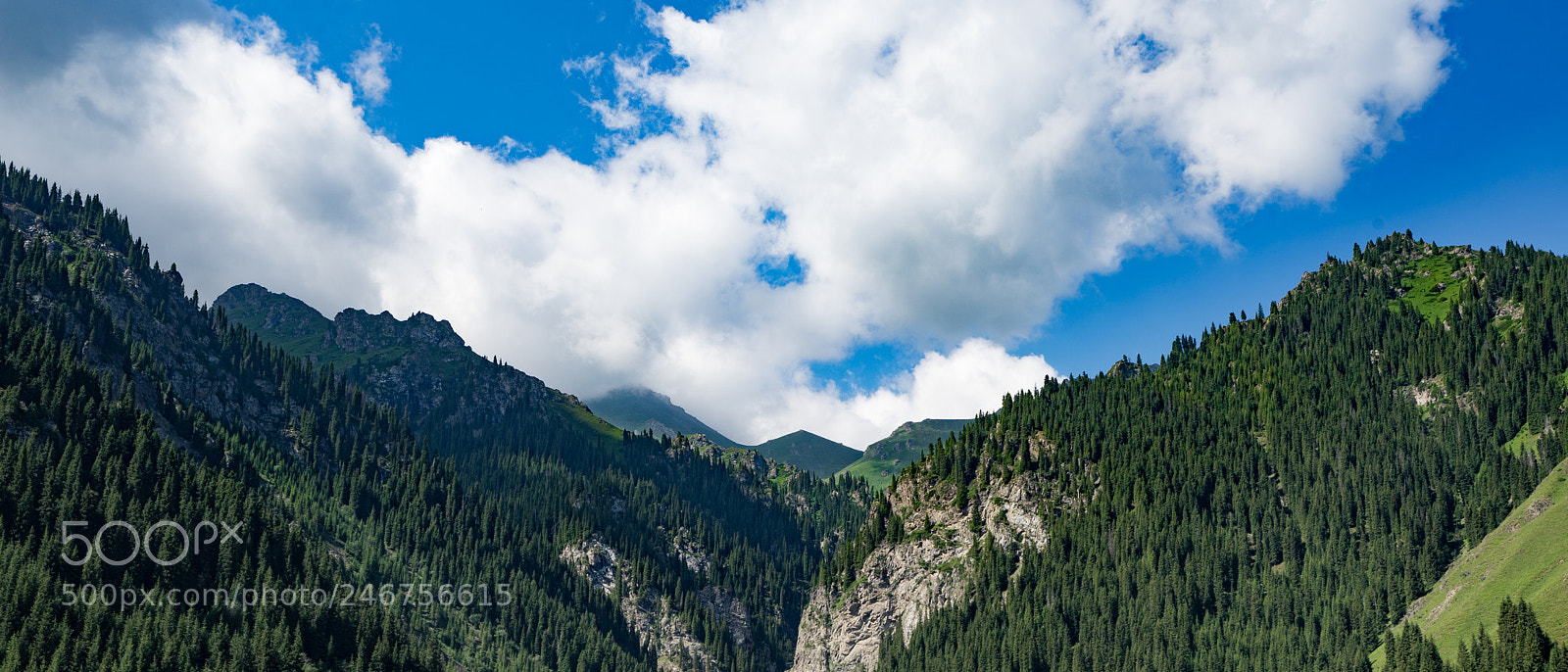 Sony a7 II sample photo. Dongdatang scenic spot 新疆东大塘景区 photography