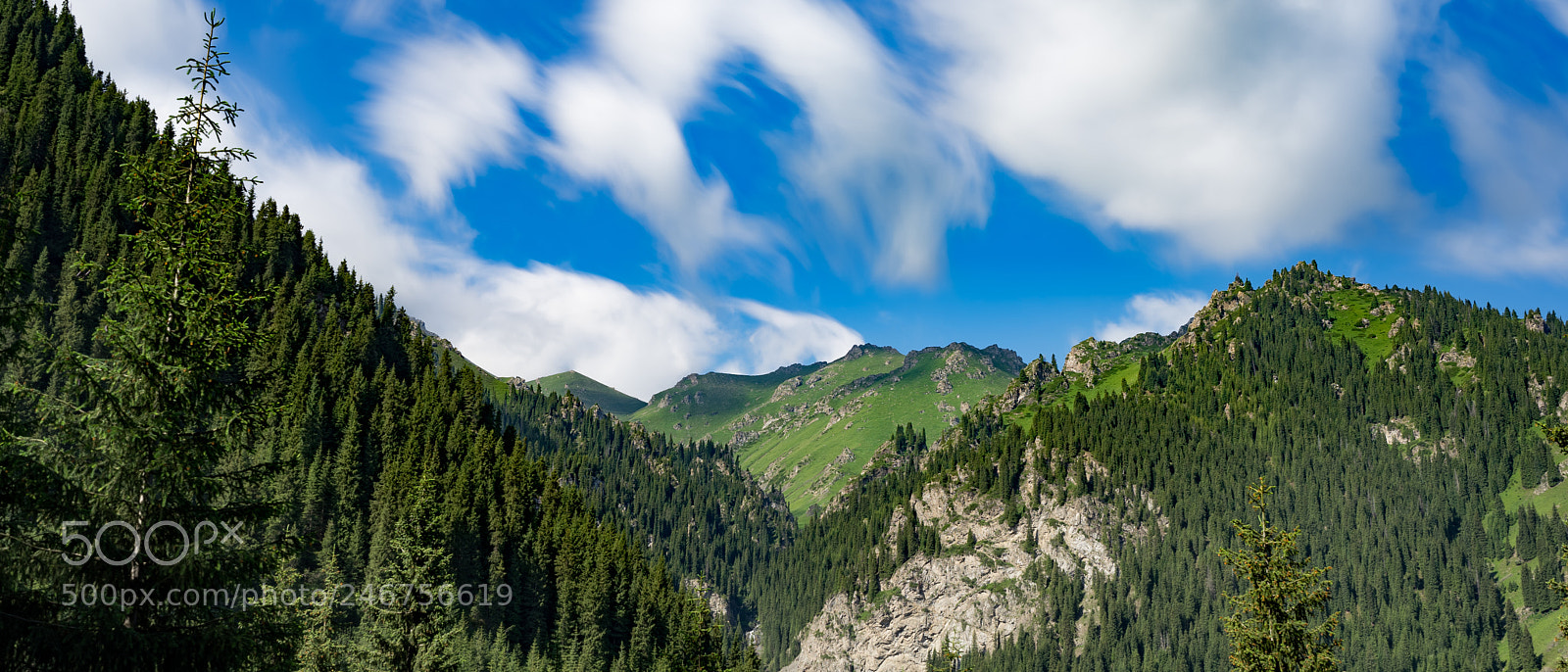 Sony a7 II sample photo. Dongdatang scenic spot 新疆东大塘景区 photography