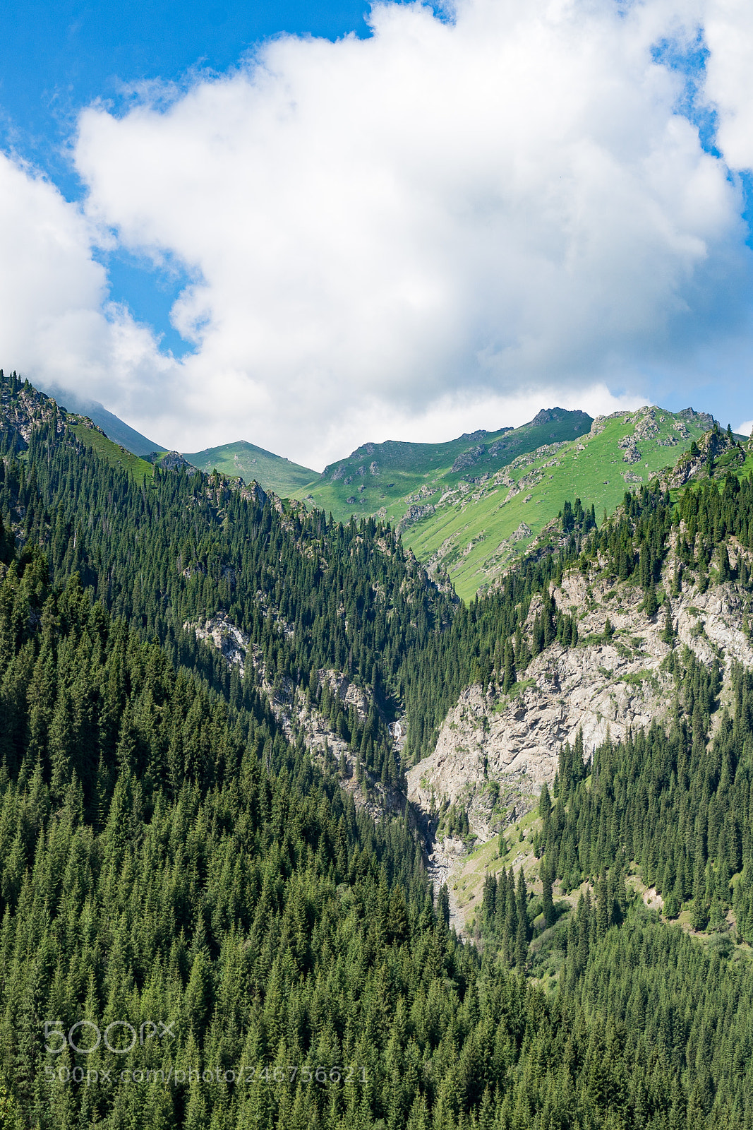 Sony a7 II sample photo. Dongdatang scenic spot 新疆东大塘景区 photography