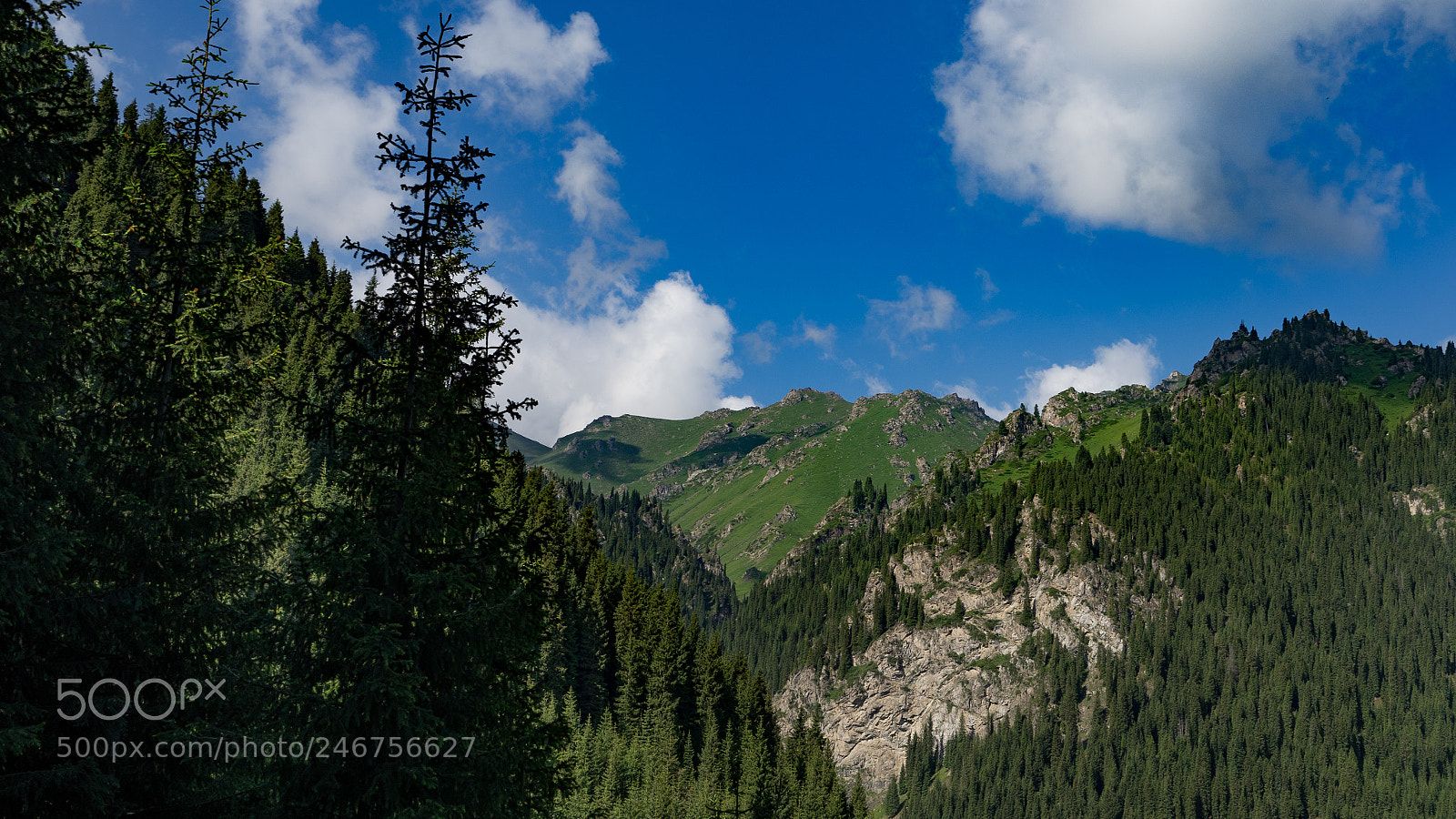Sony a7 II sample photo. Dongdatang scenic spot 新疆东大塘景区 photography