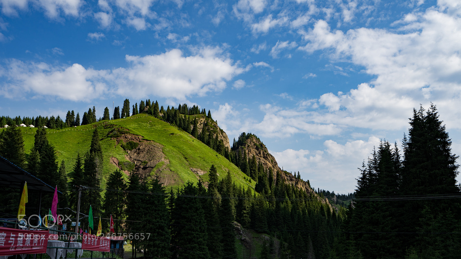 Sony a7 II sample photo. Dongdatang scenic spot 新疆东大塘景区 photography
