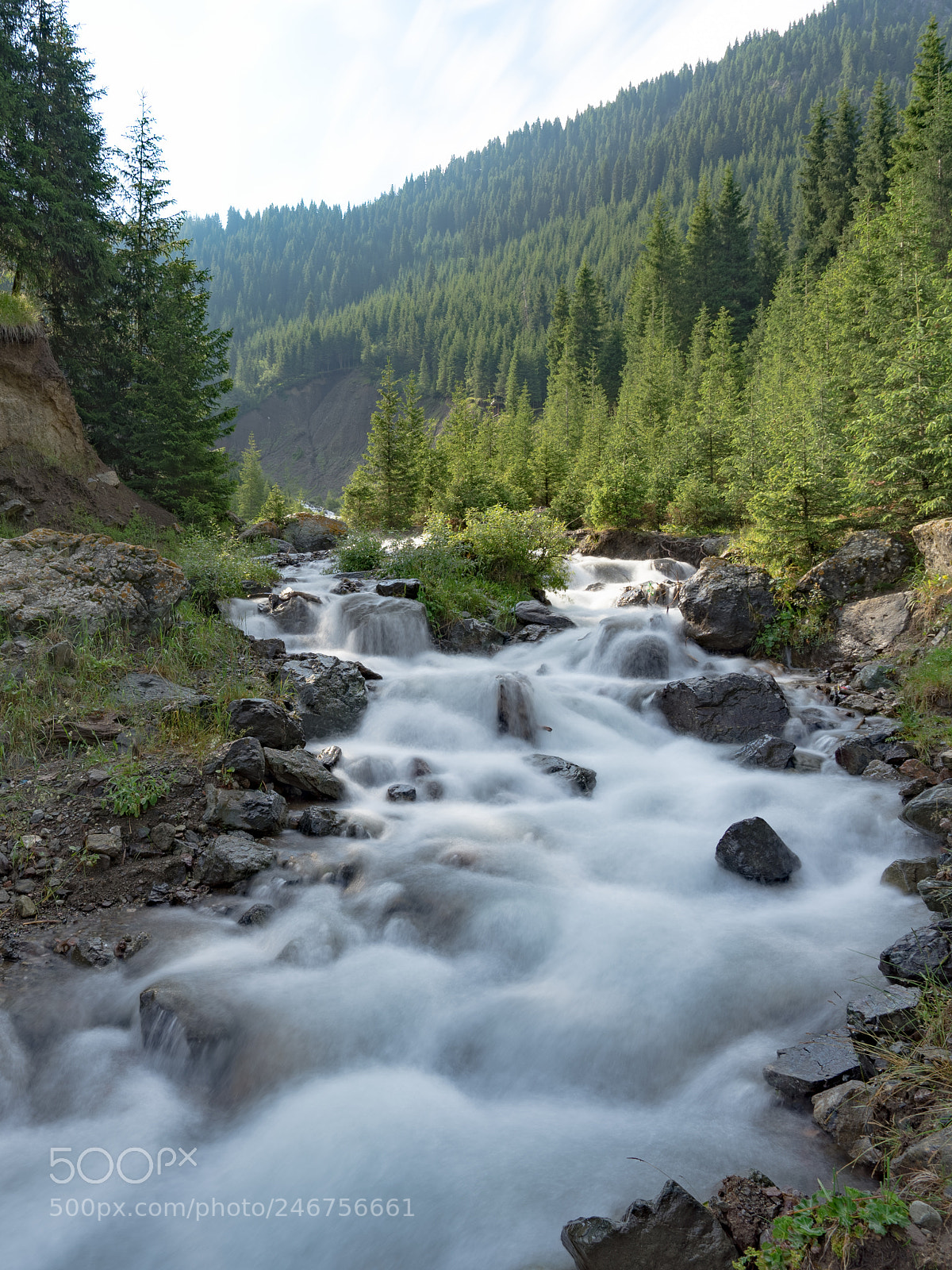 Sony a7 II sample photo. Dongdatang scenic spot 新疆东大塘景区 photography