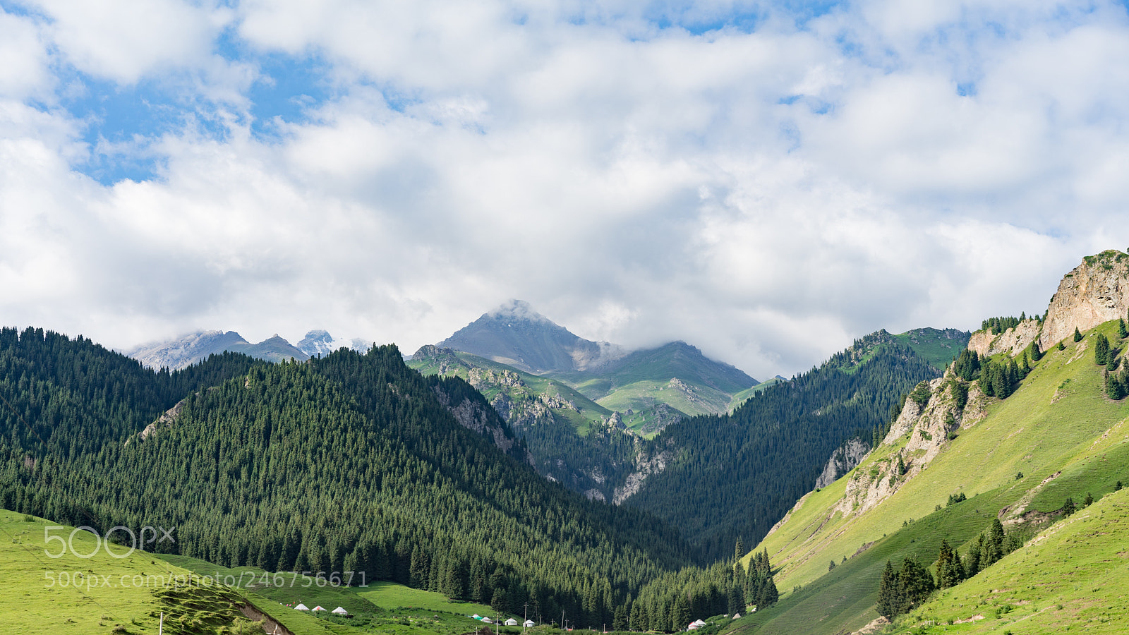 Sony a7 II sample photo. Dongdatang scenic spot 新疆东大塘景区 photography