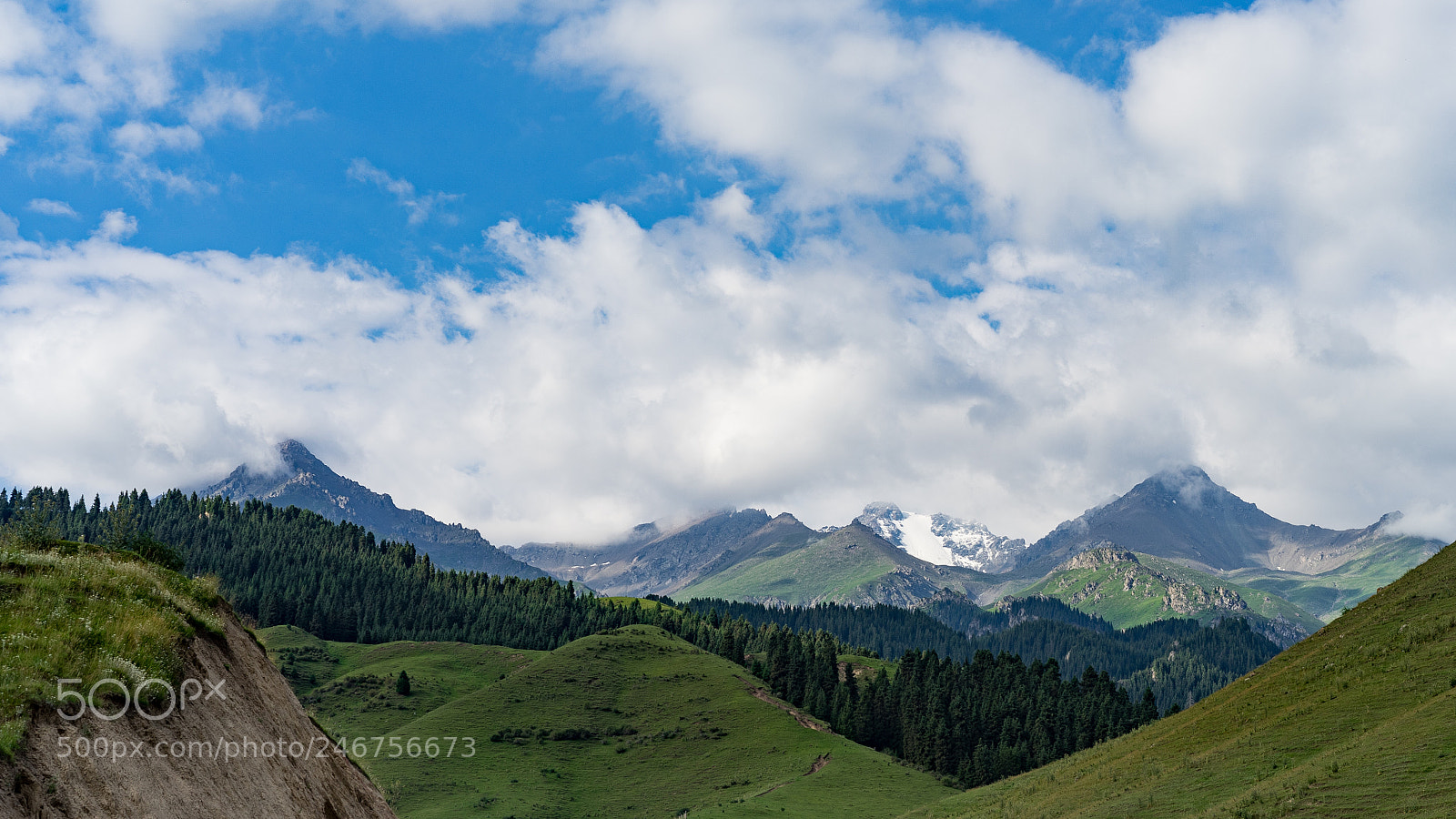 Sony a7 II sample photo. Dongdatang scenic spot 新疆东大塘景区 photography