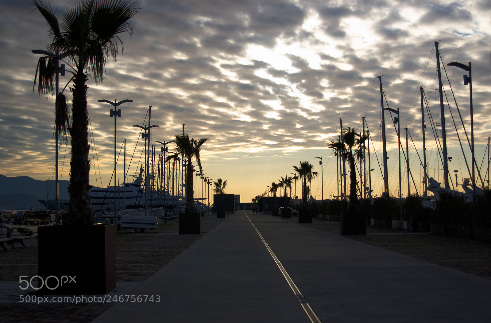 Nikon D50 sample photo. Mirabello seagulls photography