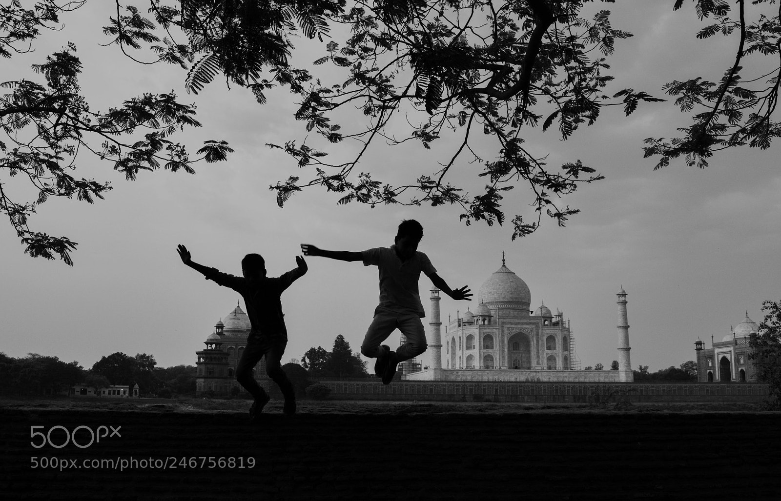 Nikon D5200 sample photo. 101.jpg photography