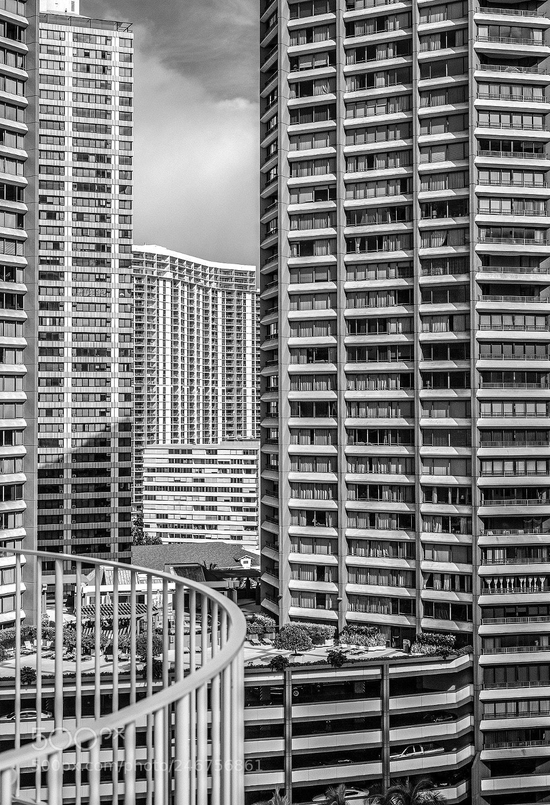 Sony Cyber-shot DSC-RX10 III sample photo. Urban jungle photography