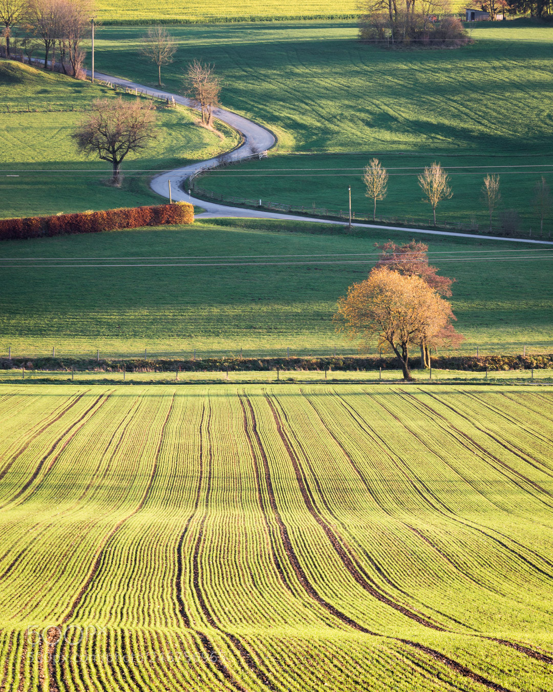 Canon EOS 700D (EOS Rebel T5i / EOS Kiss X7i) sample photo. Autumn fields photography
